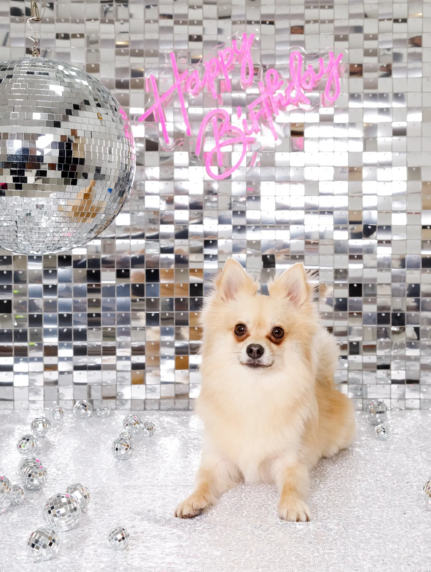 【Birthday Booth -SILVER DISCO🪩...