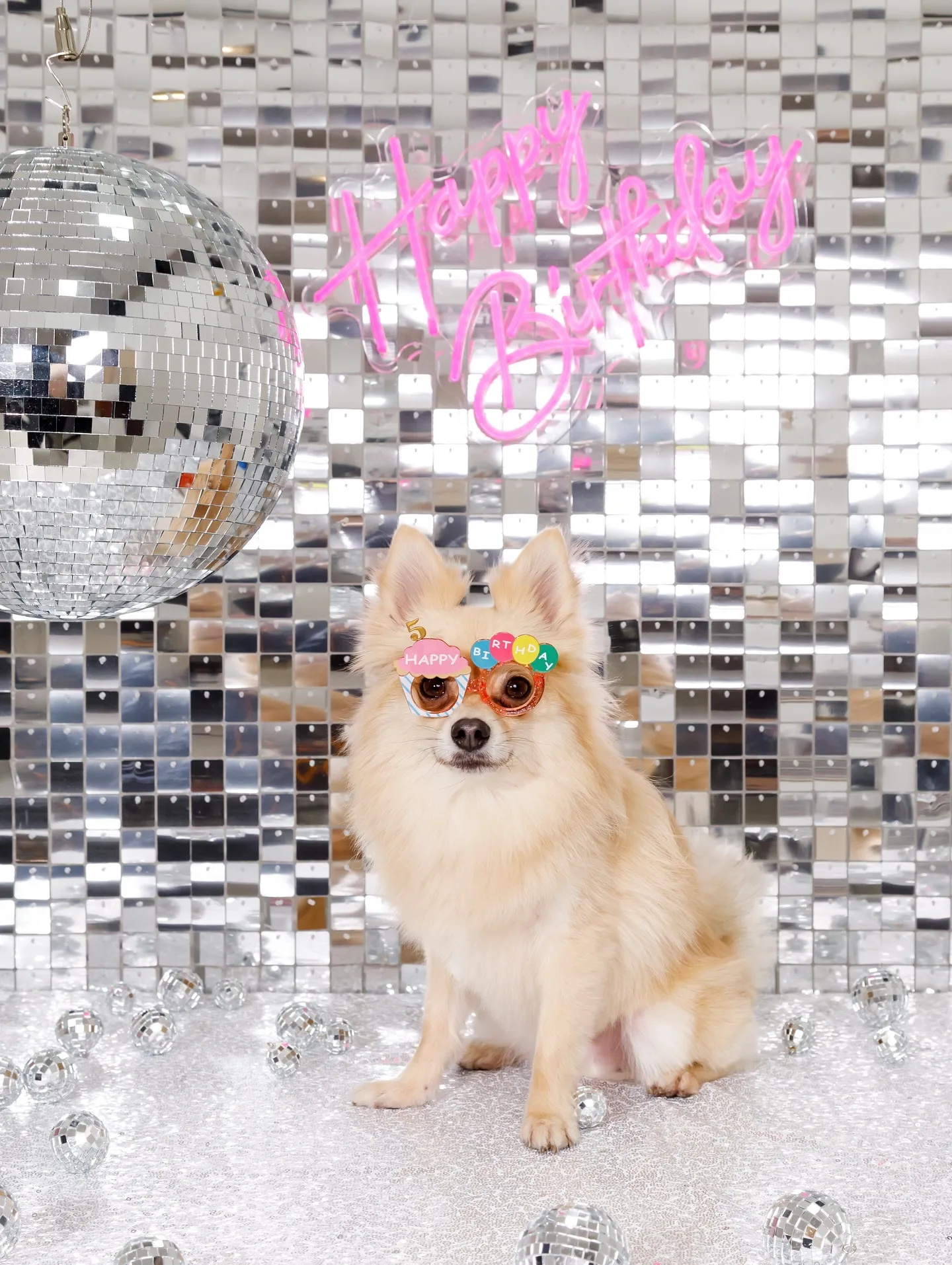 【Birthday Booth -SILVER DISCO🪩...