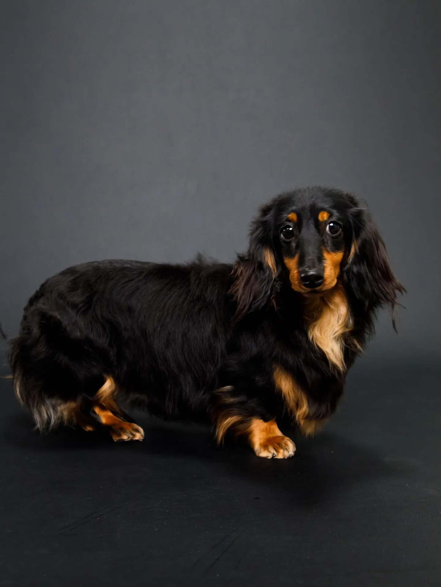 【BLACK Backdrop photoshoot】