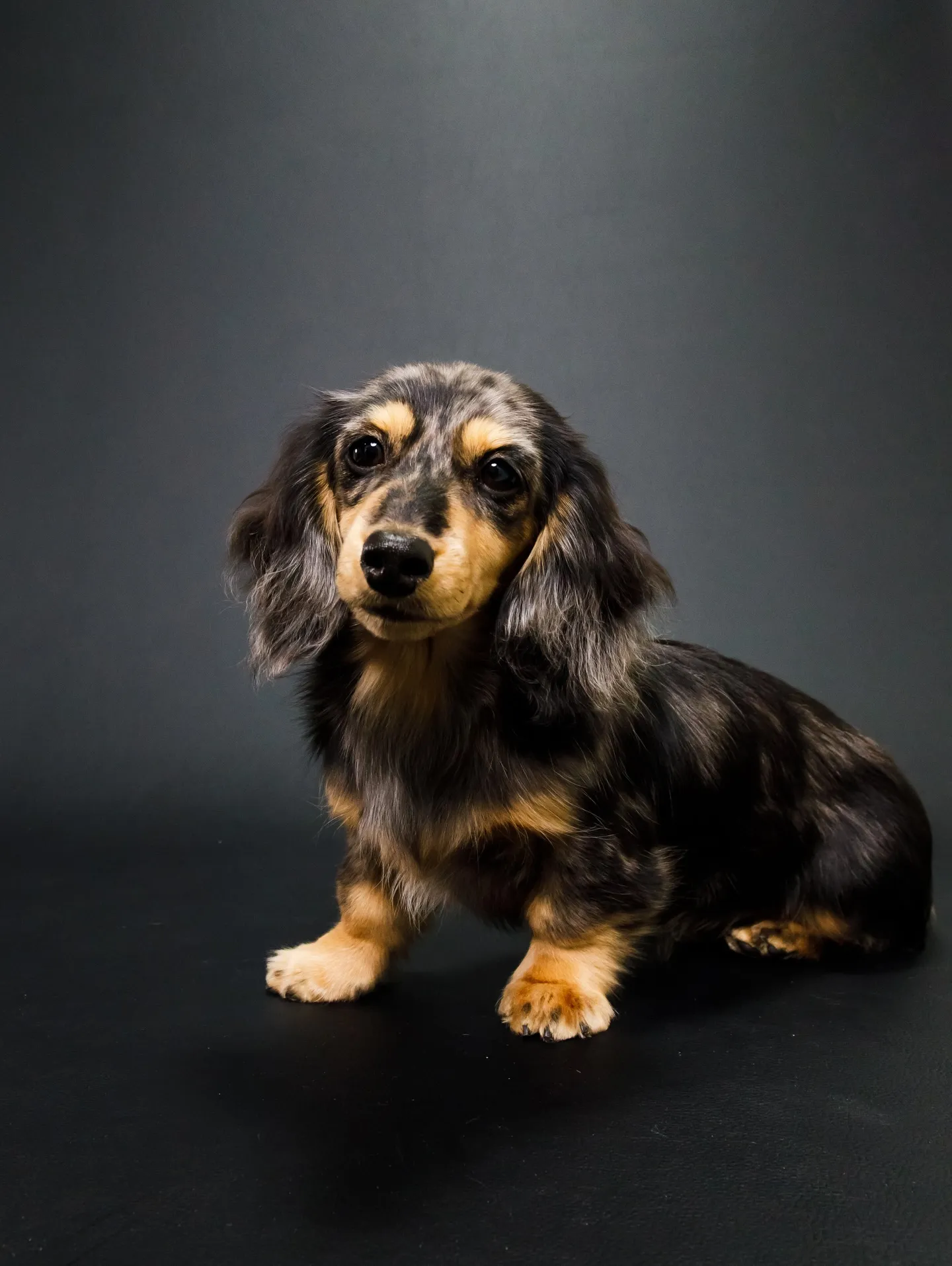 【BLACK Backdrop photoshoot】