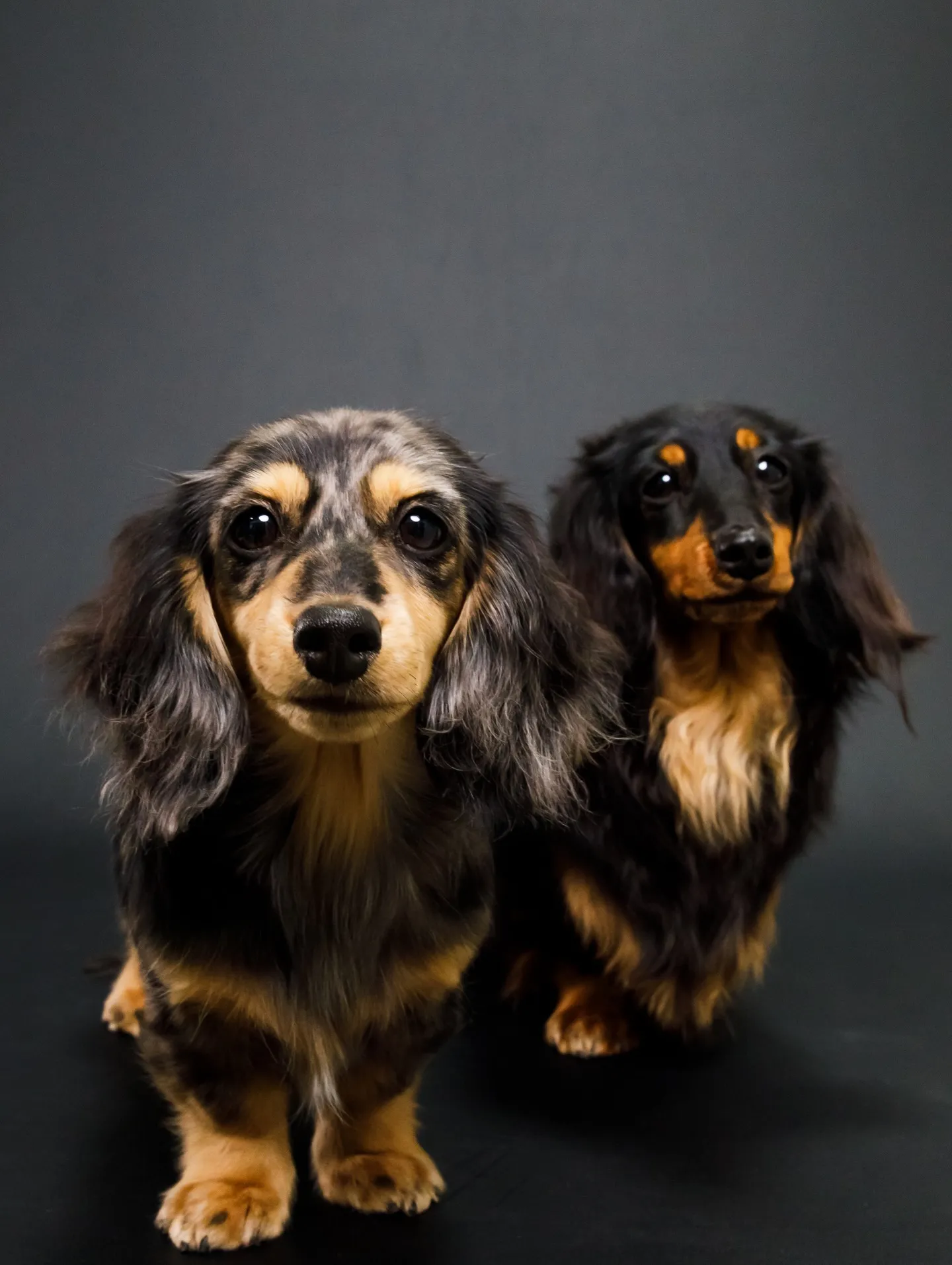 【BLACK Backdrop photoshoot】