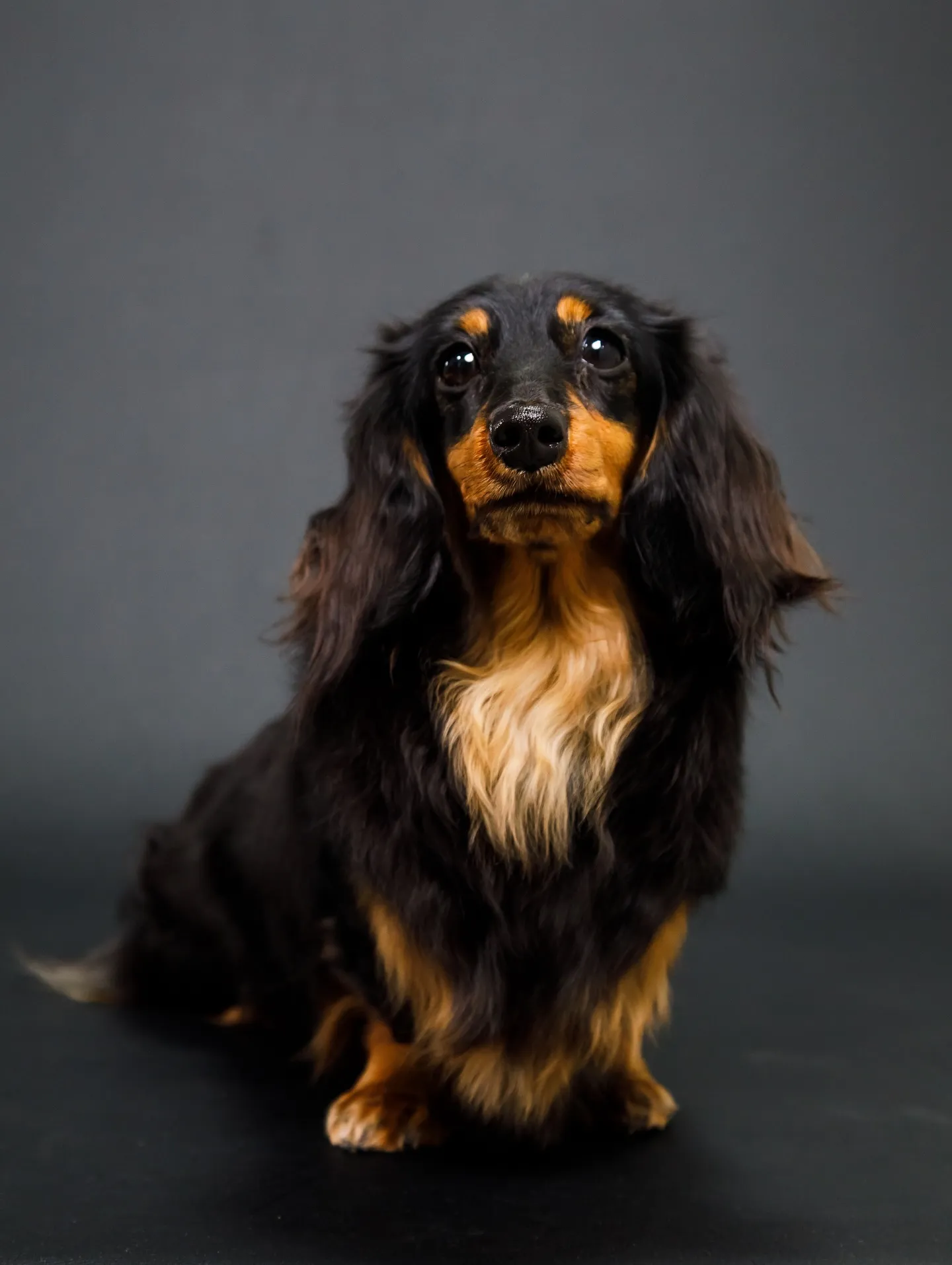 【BLACK Backdrop photoshoot】