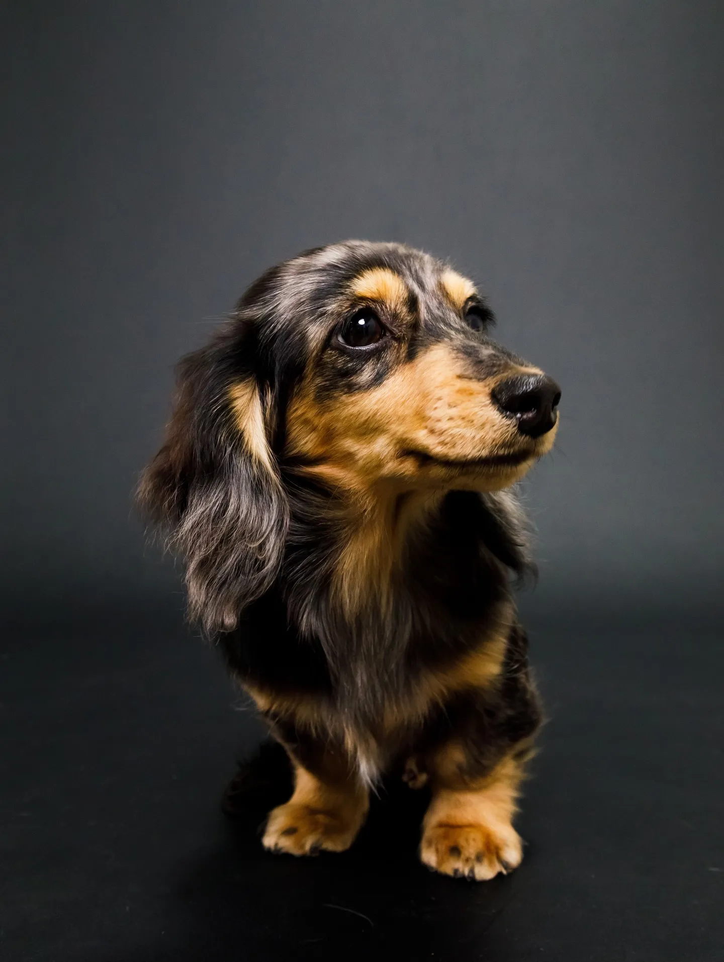 【BLACK Backdrop photoshoot】