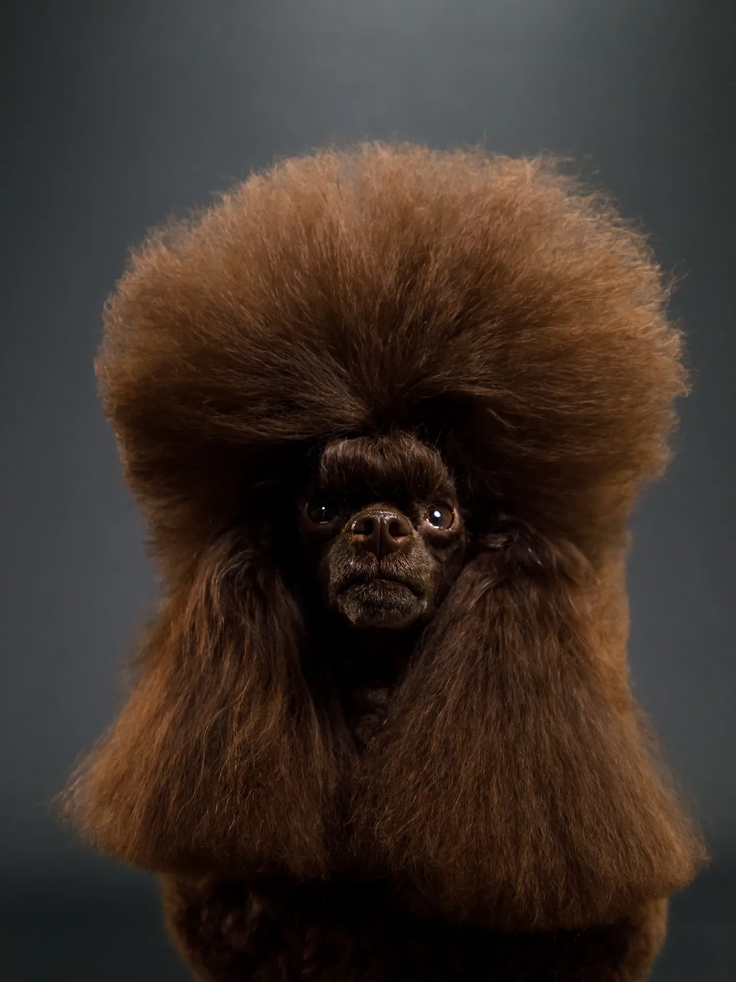 【BLACK Backdrop photoshoot】