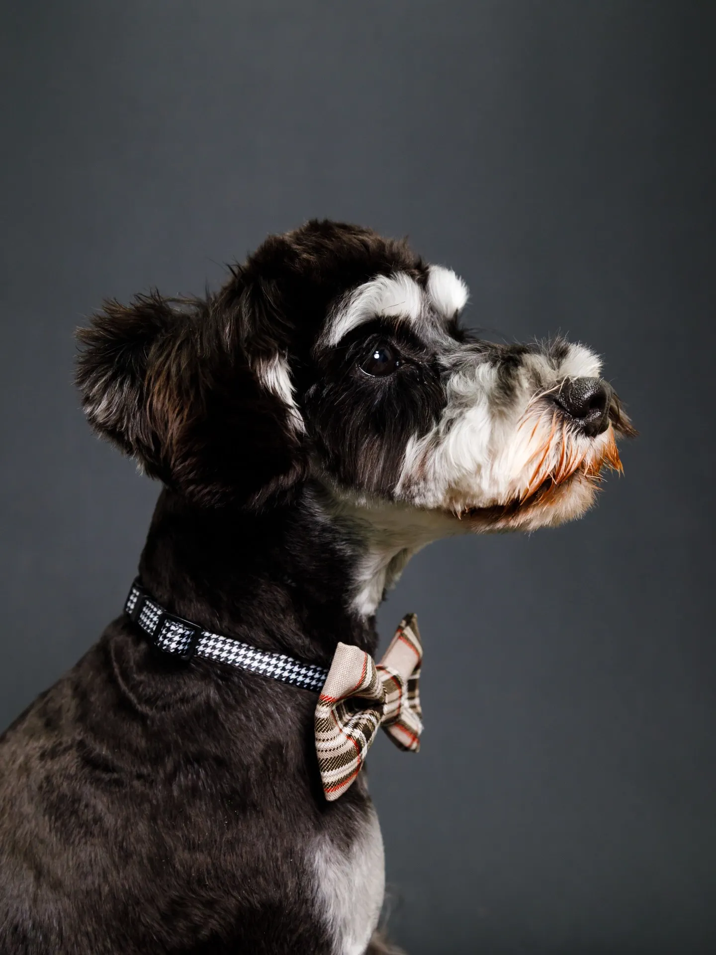 【BLACK Backdrop photoshoot】