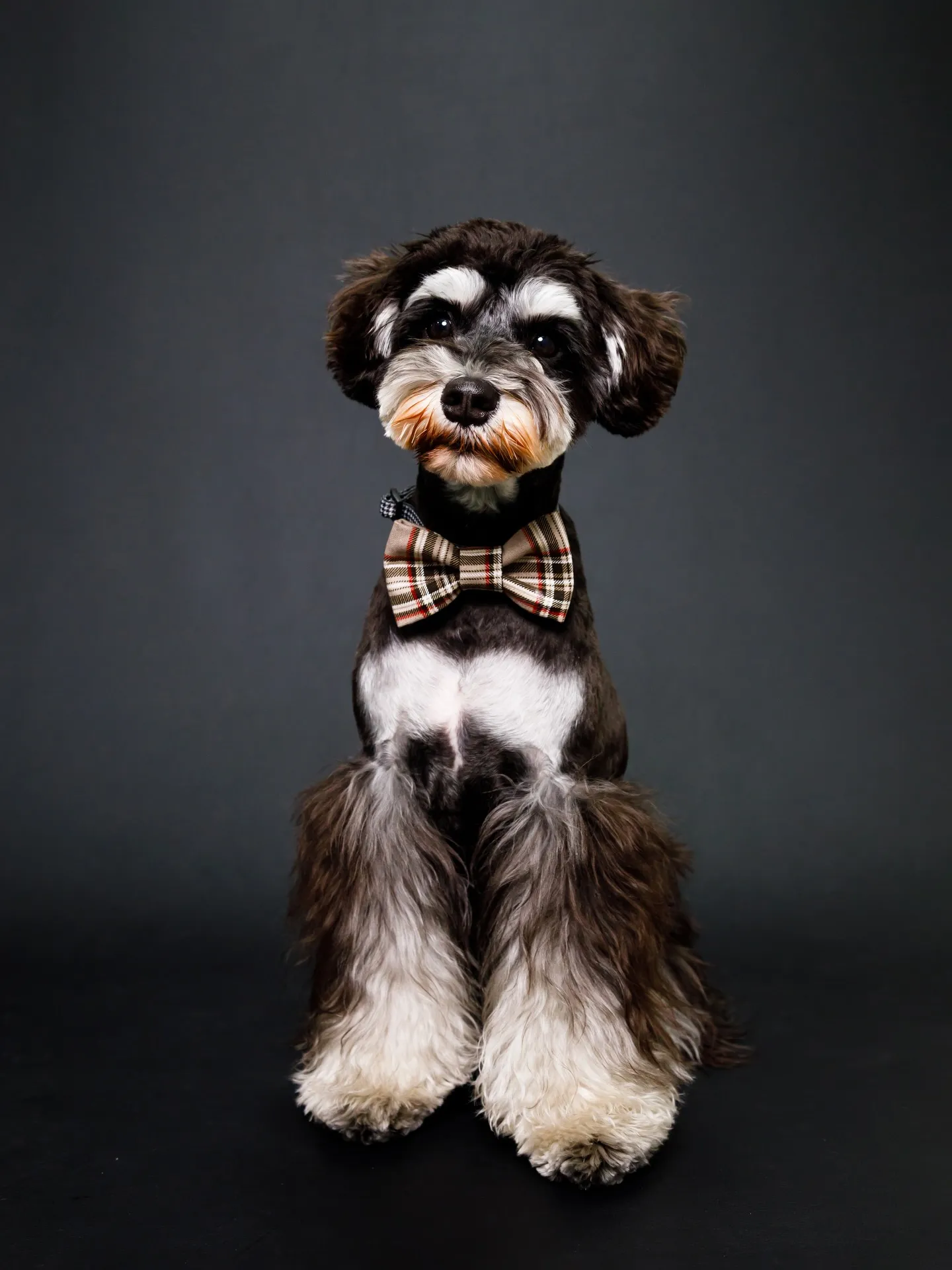 【BLACK Backdrop photoshoot】