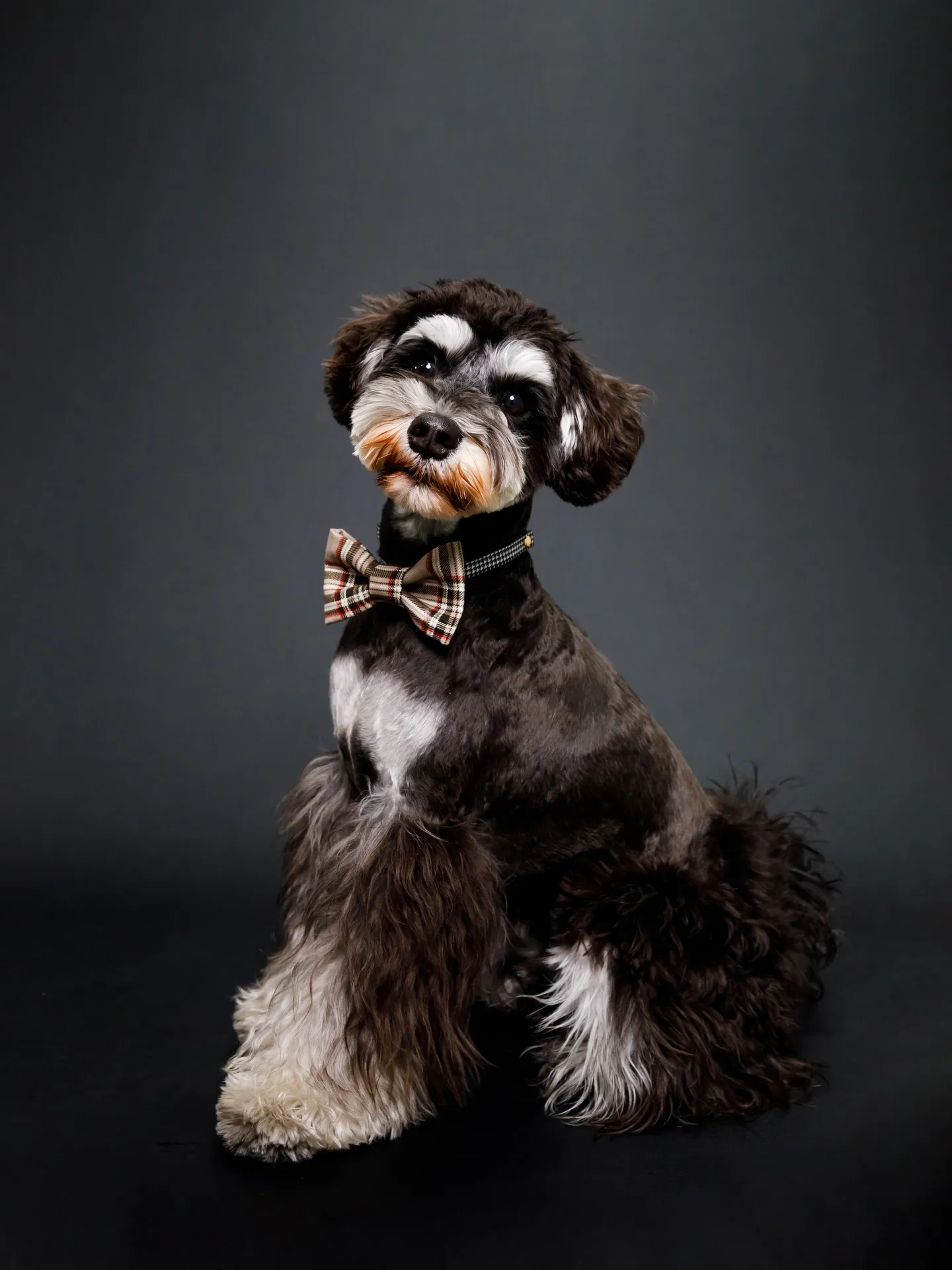 【BLACK Backdrop photoshoot】