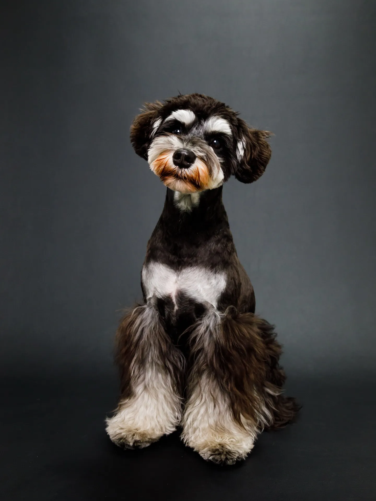 【BLACK Backdrop photoshoot】