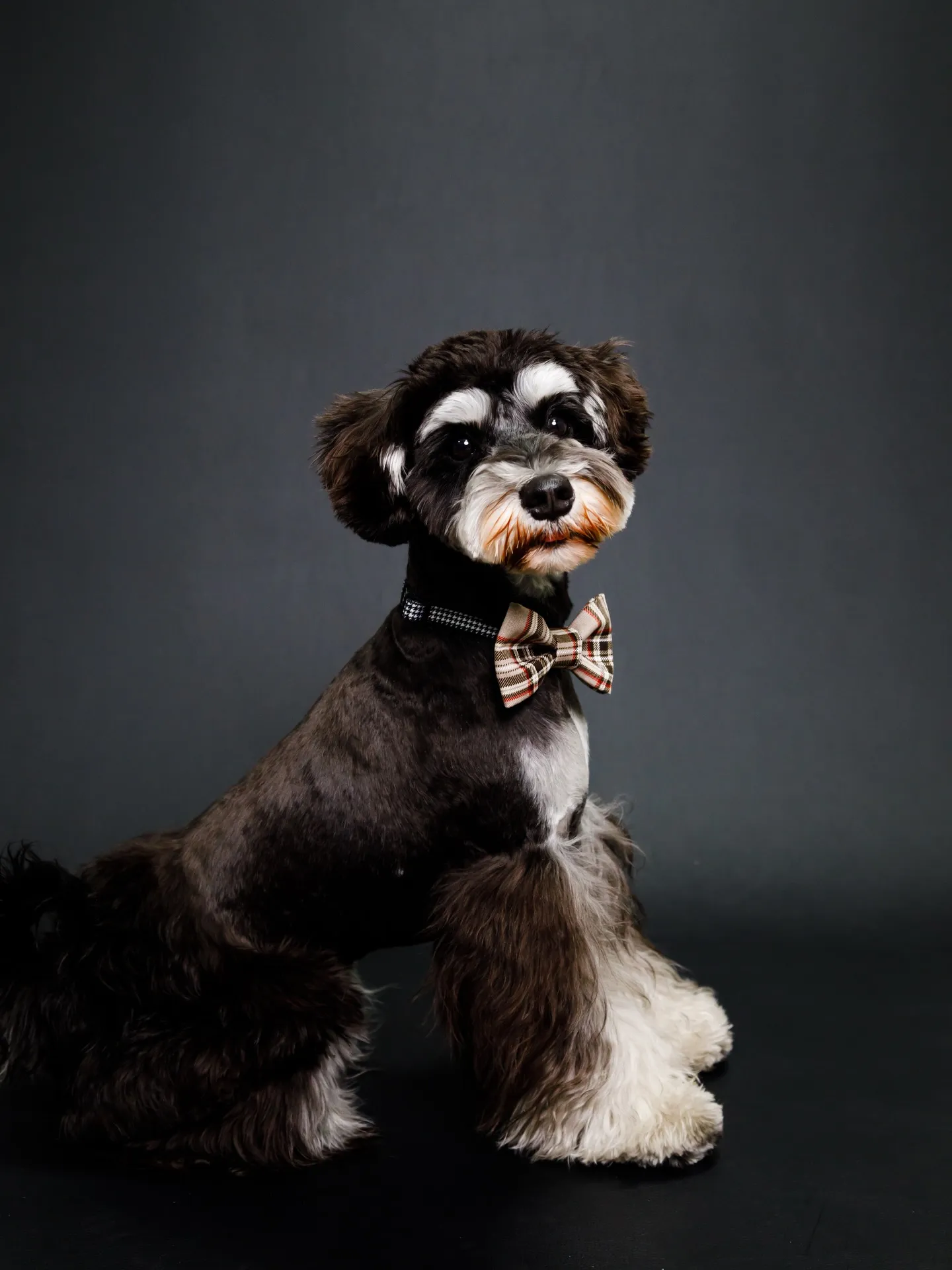 【BLACK Backdrop photoshoot】