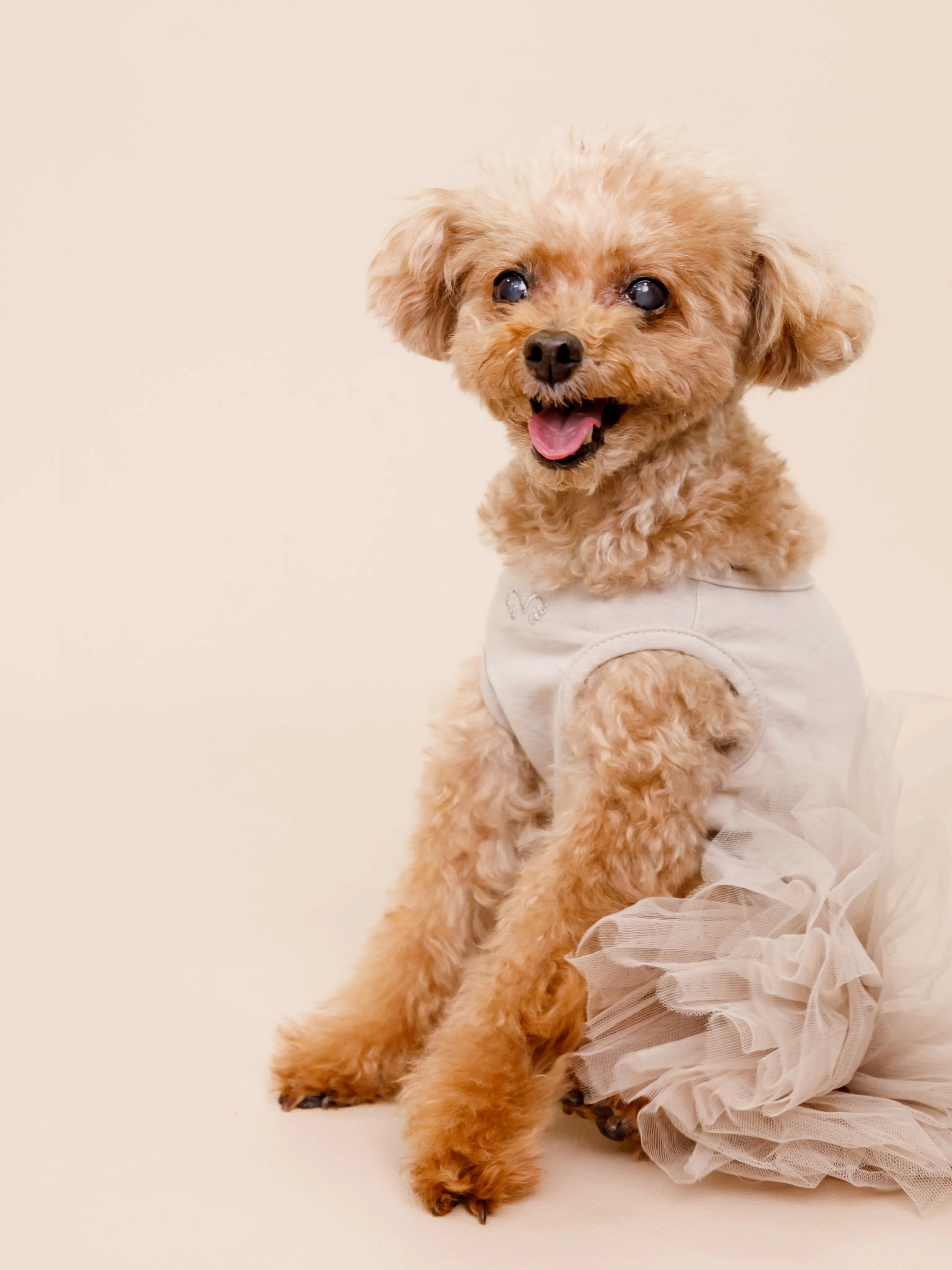 【BEIGE Backdrop Photoshoot -SO...