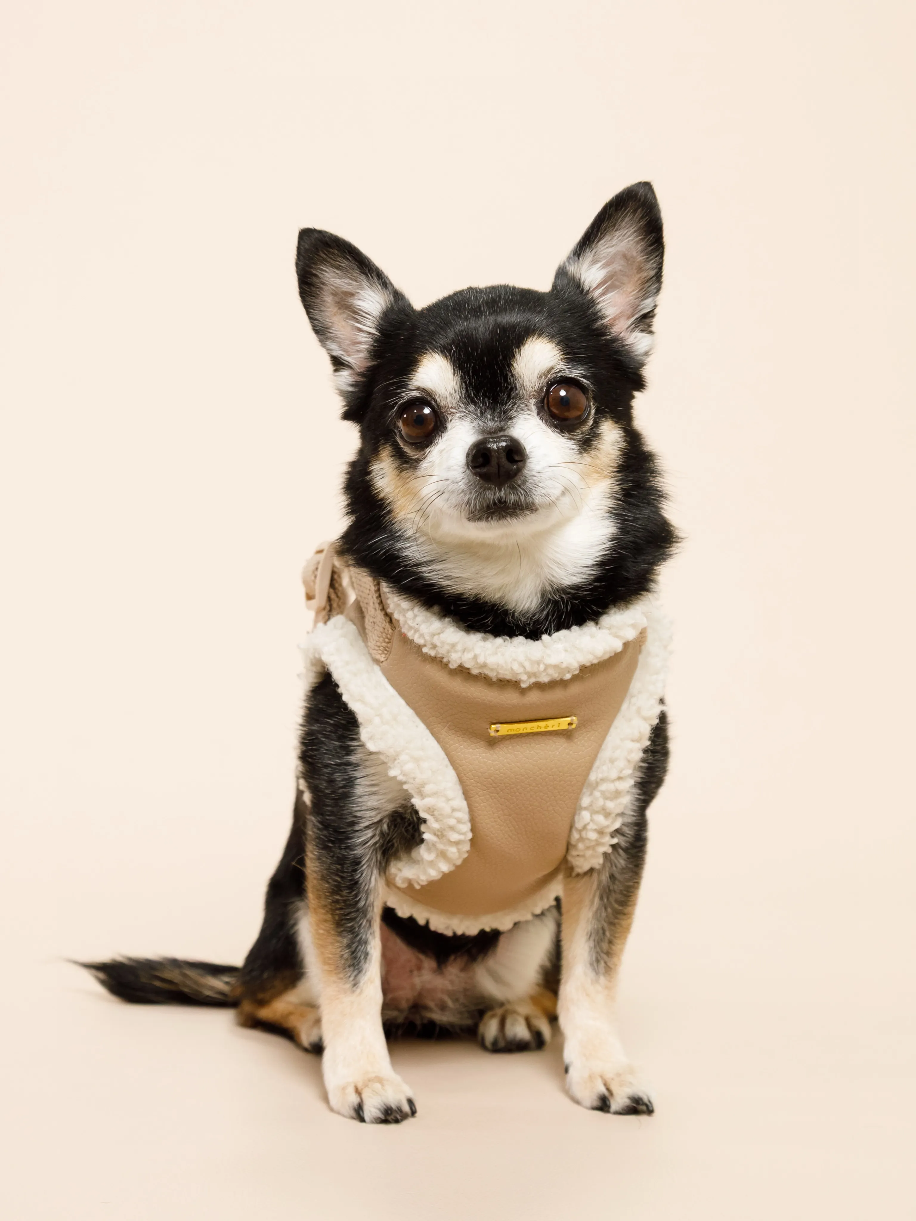 【BEIGE Backdrop Photoshoot -SO...
