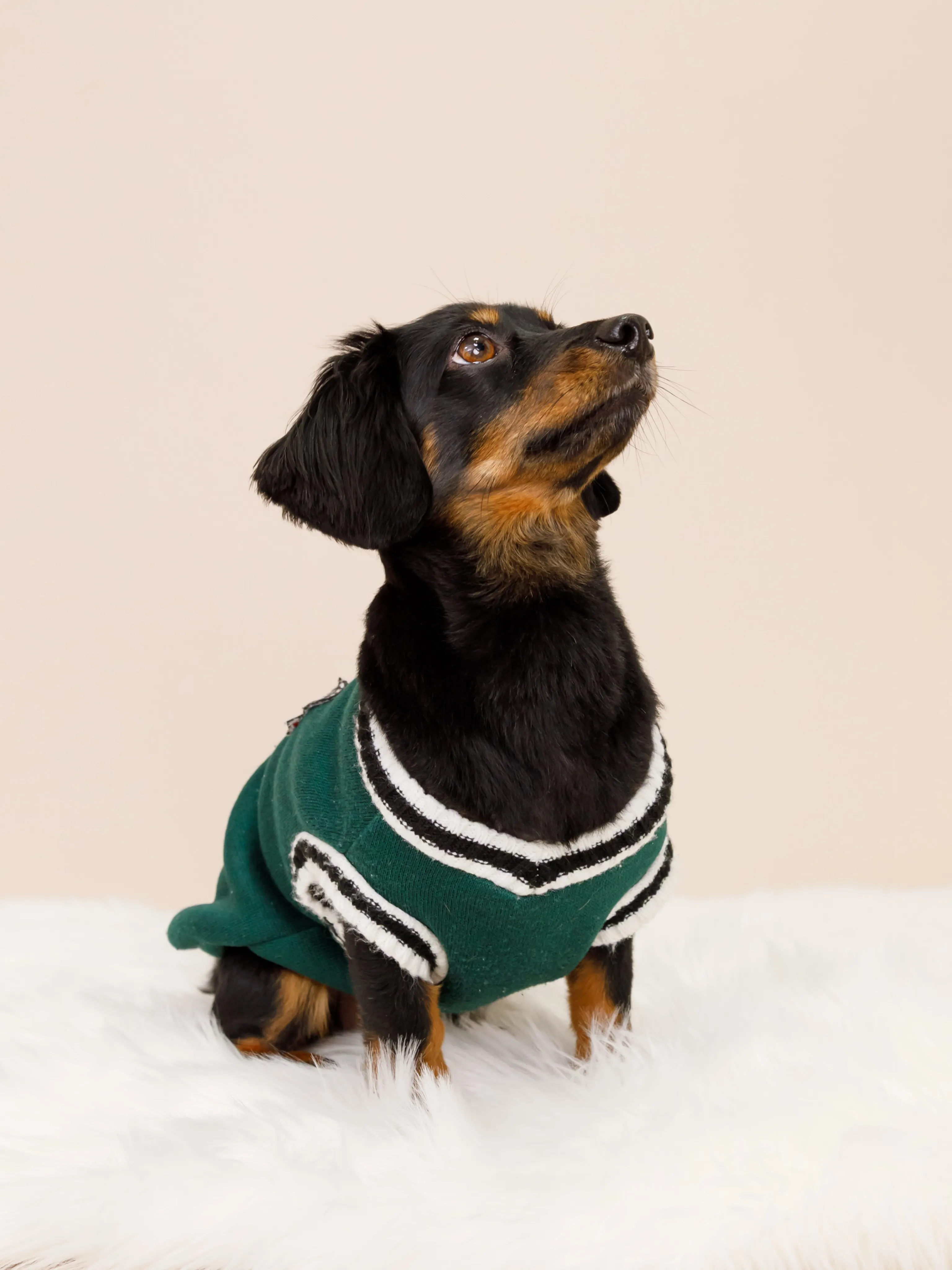【BEIGE Backdrop Photoshoot -SO...