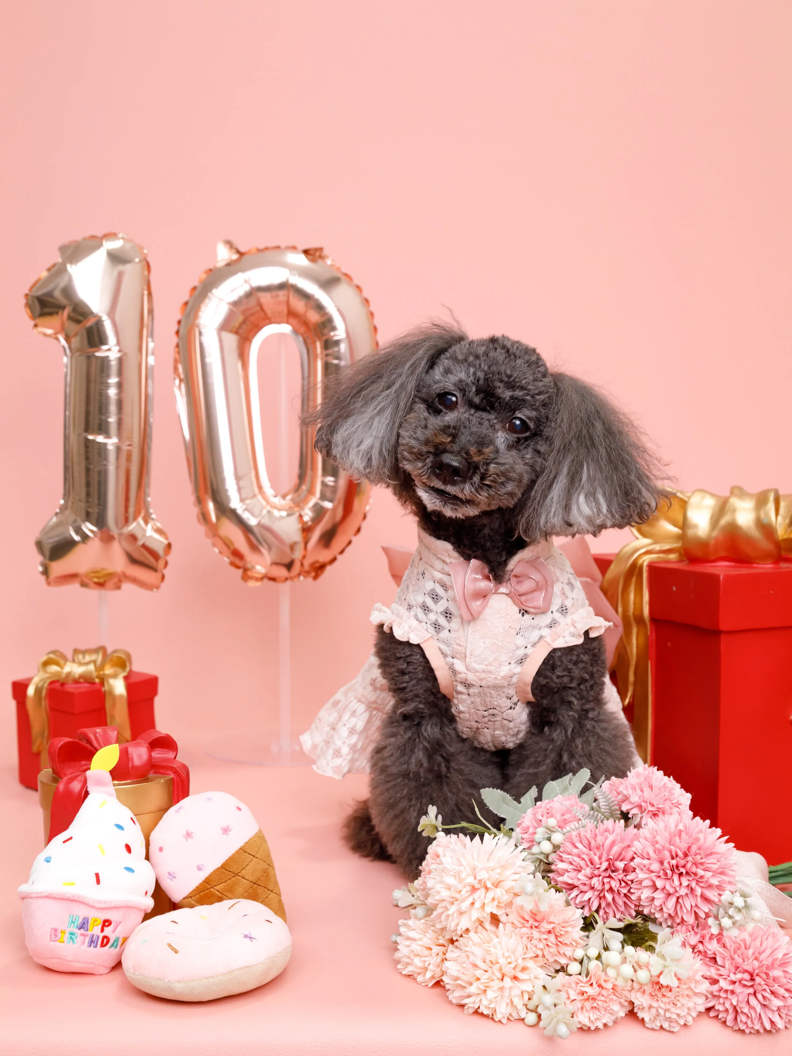 【Birthday🎉Photoshoot -ピンク背景＆小物...