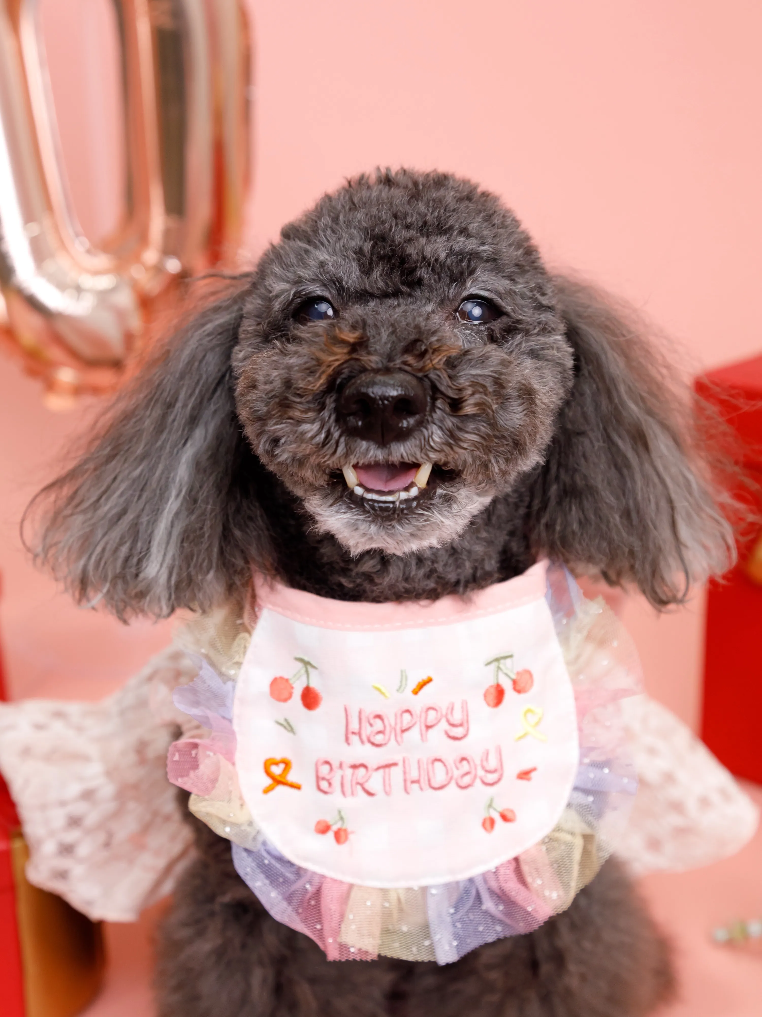 【Birthday🎉Photoshoot -ピンク背景＆小物...