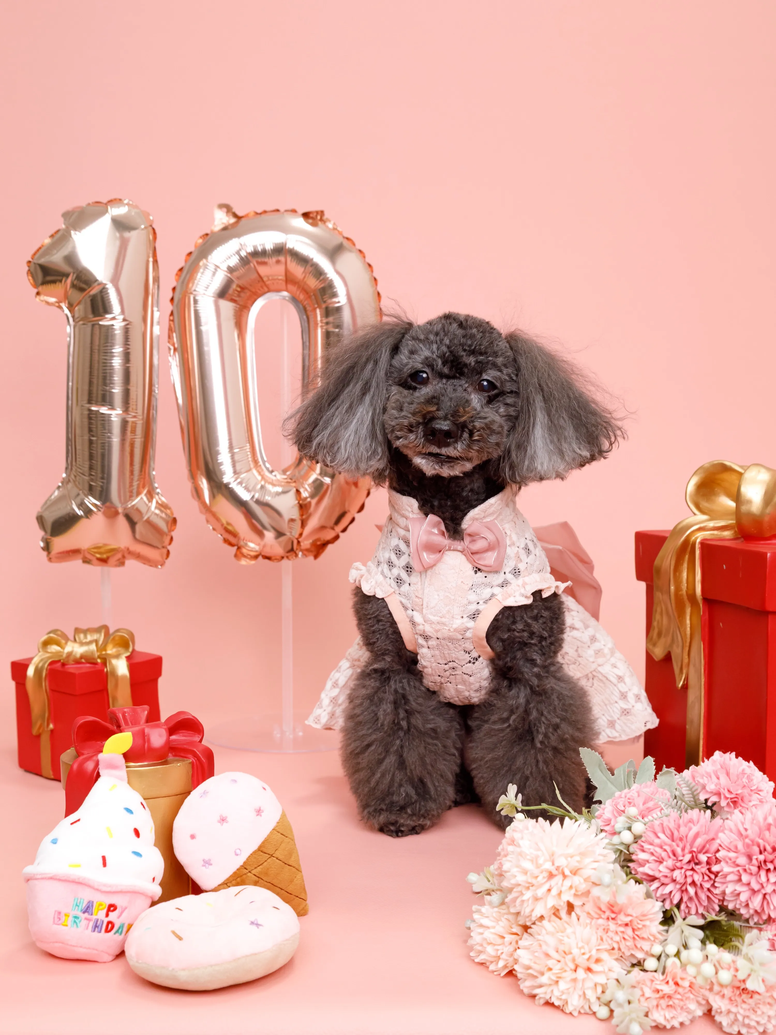 【Birthday🎉Photoshoot -ピンク背景＆小物...