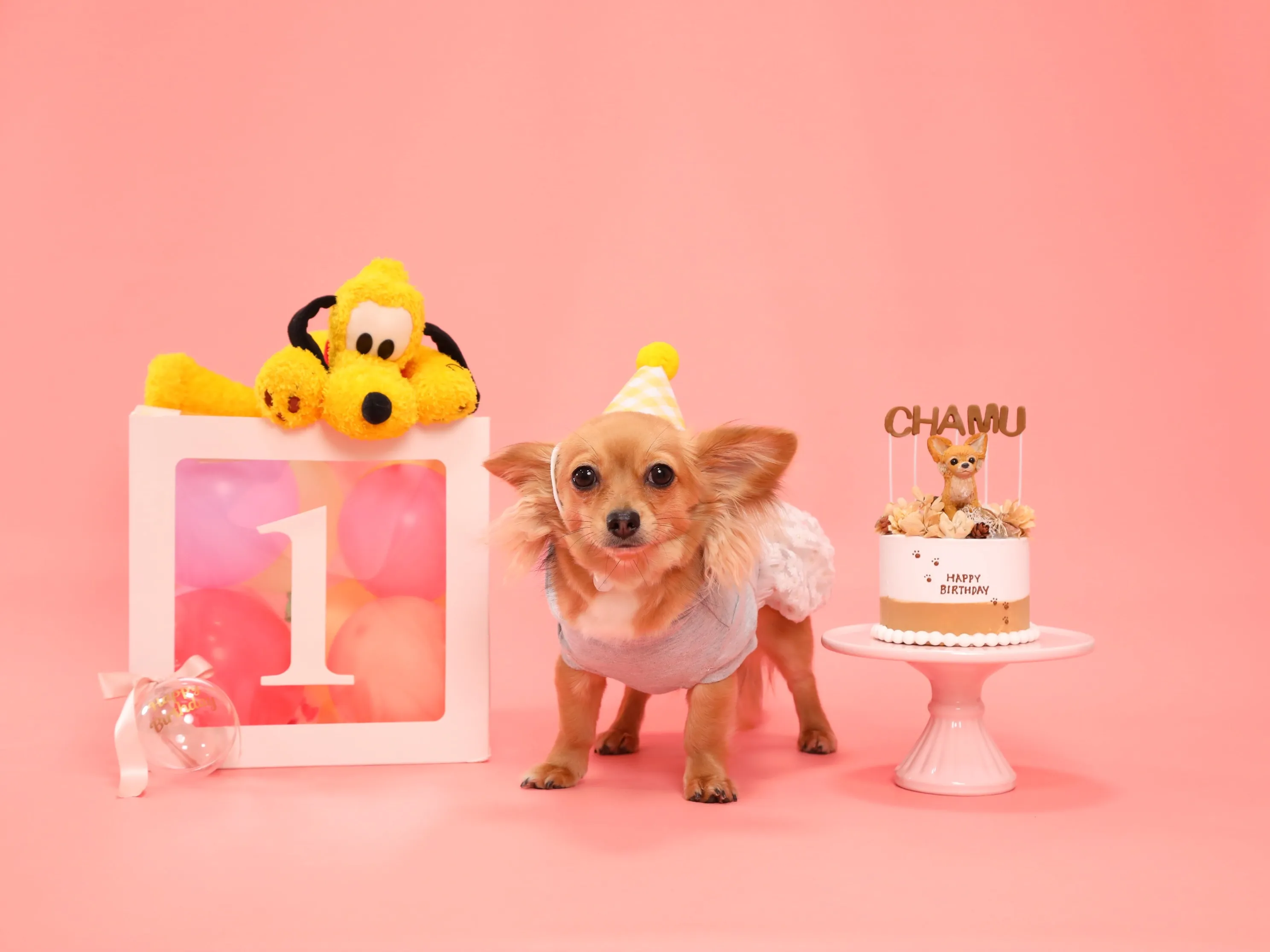 【Birthday🎉Photoshoot -ピンク背景&小物...