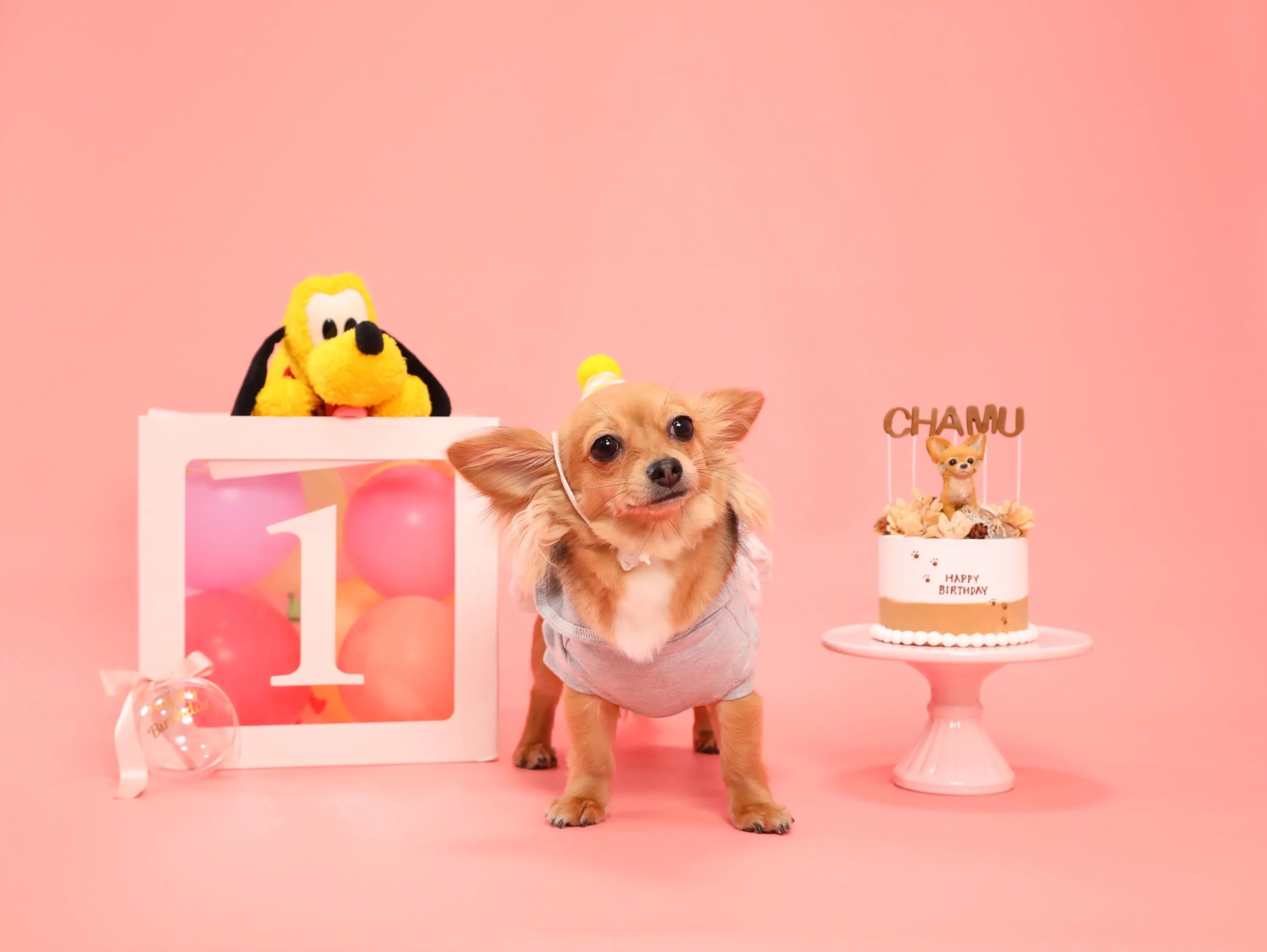 【Birthday🎉Photoshoot -ピンク背景&小物...
