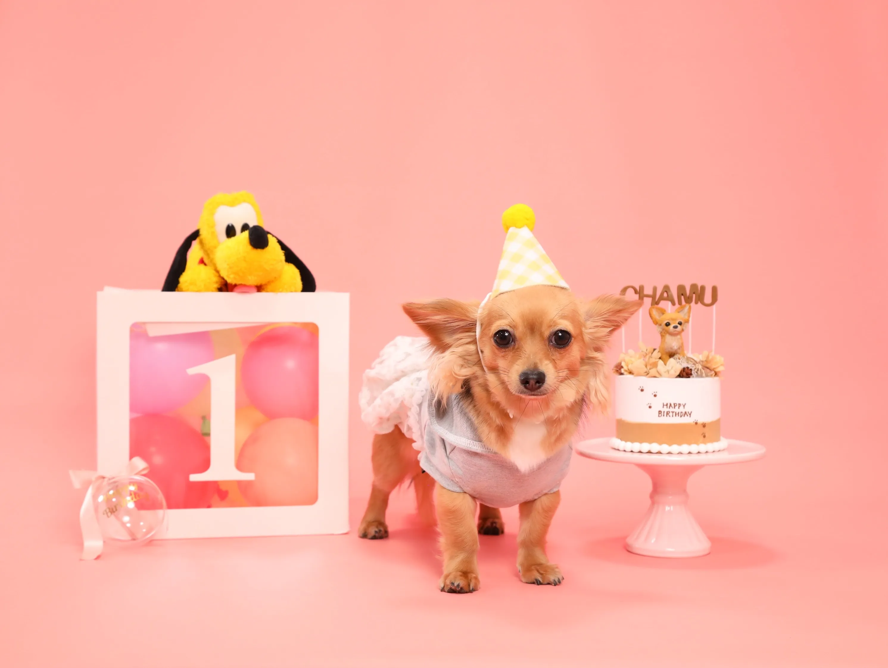 【Birthday🎉Photoshoot -ピンク背景&小物...