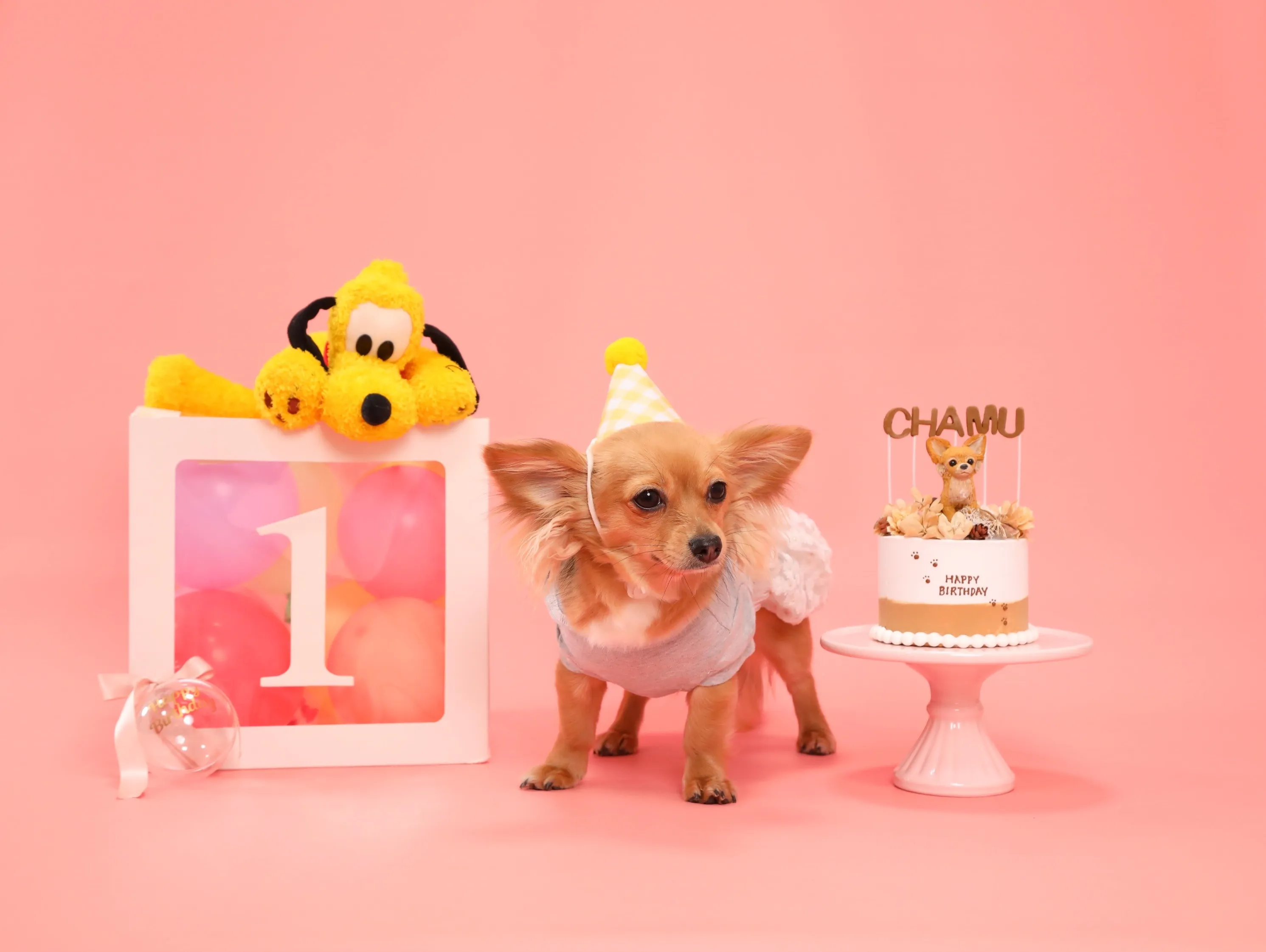 【Birthday🎉Photoshoot -ピンク背景&小物...