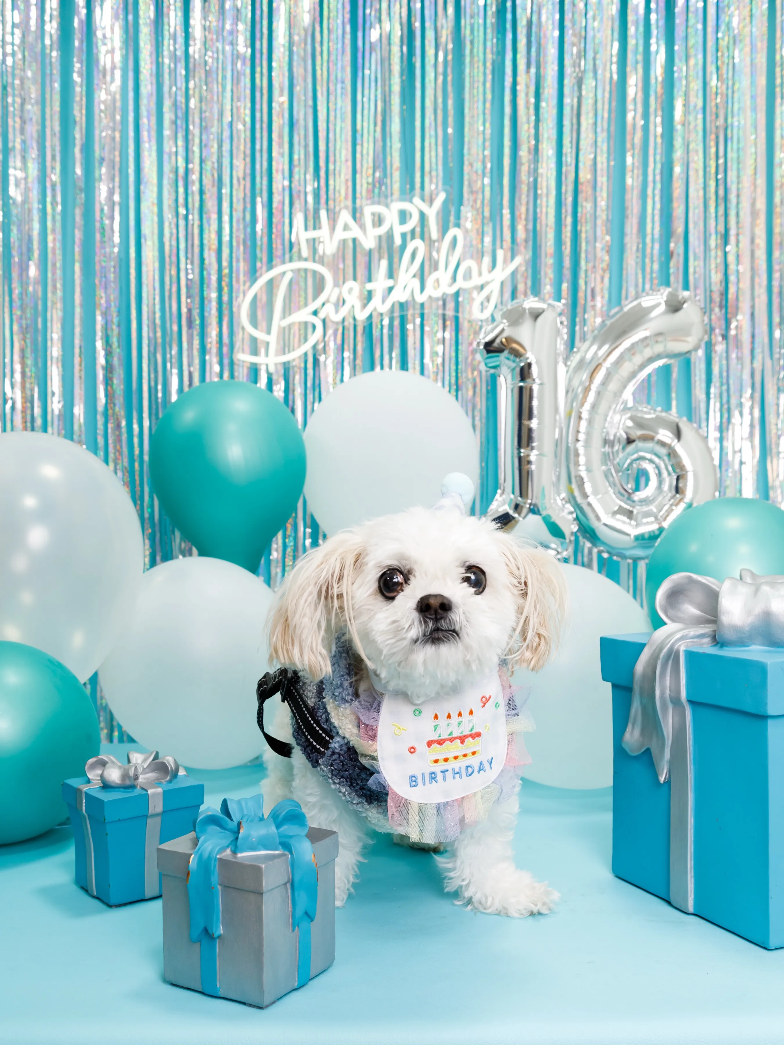 【Birthday Photobofth🗽-水色-】