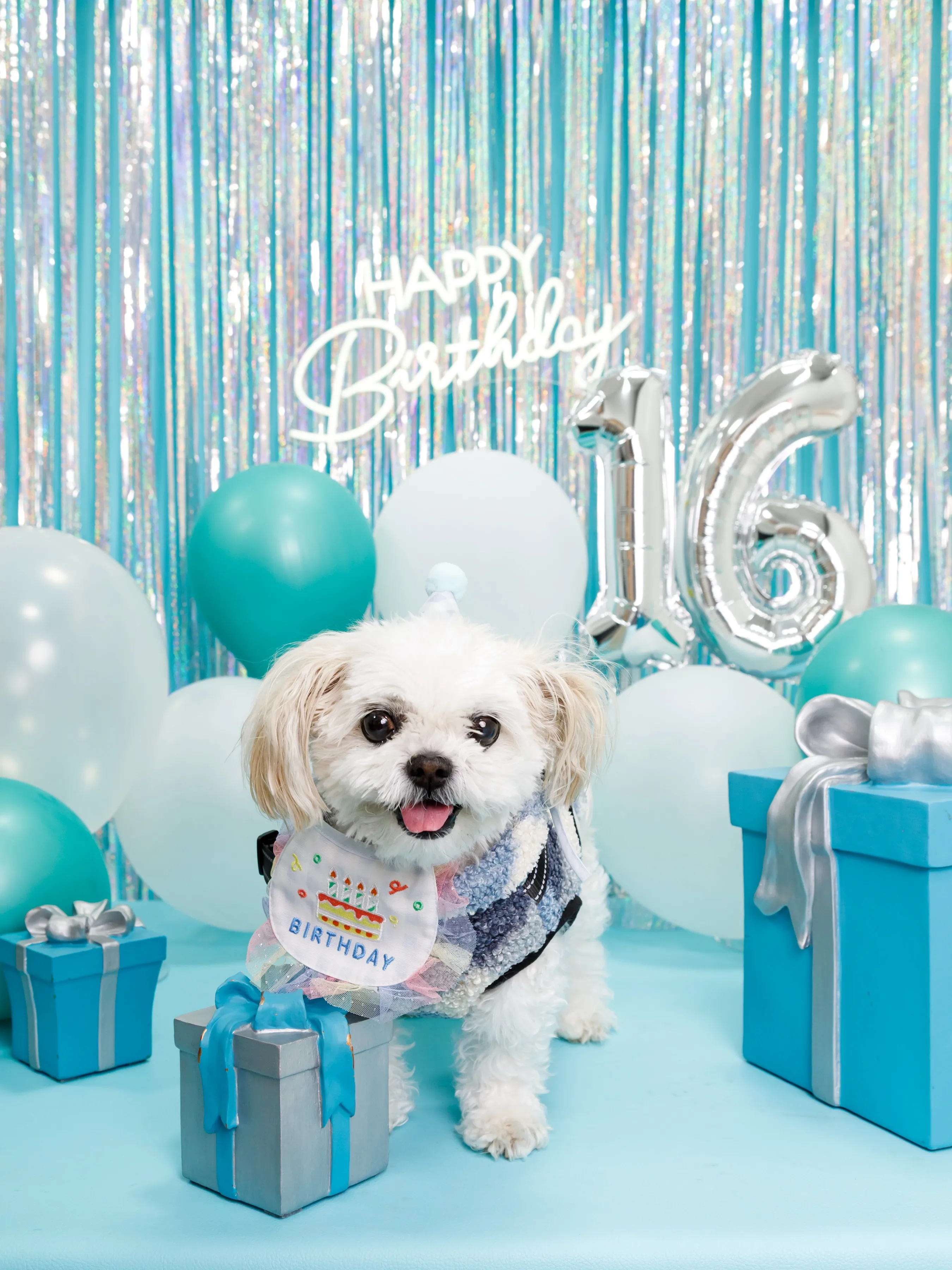 【Birthday Photobofth🗽-水色-】