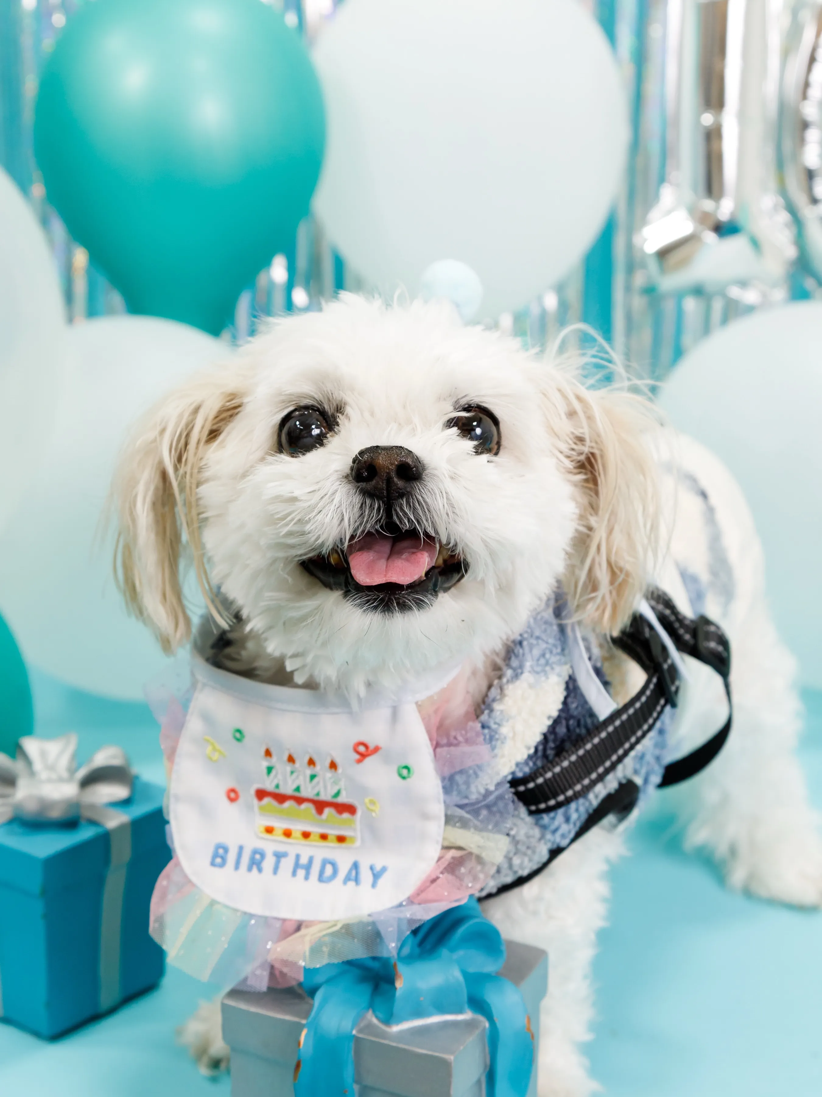 【Birthday Photobofth🗽-水色-】