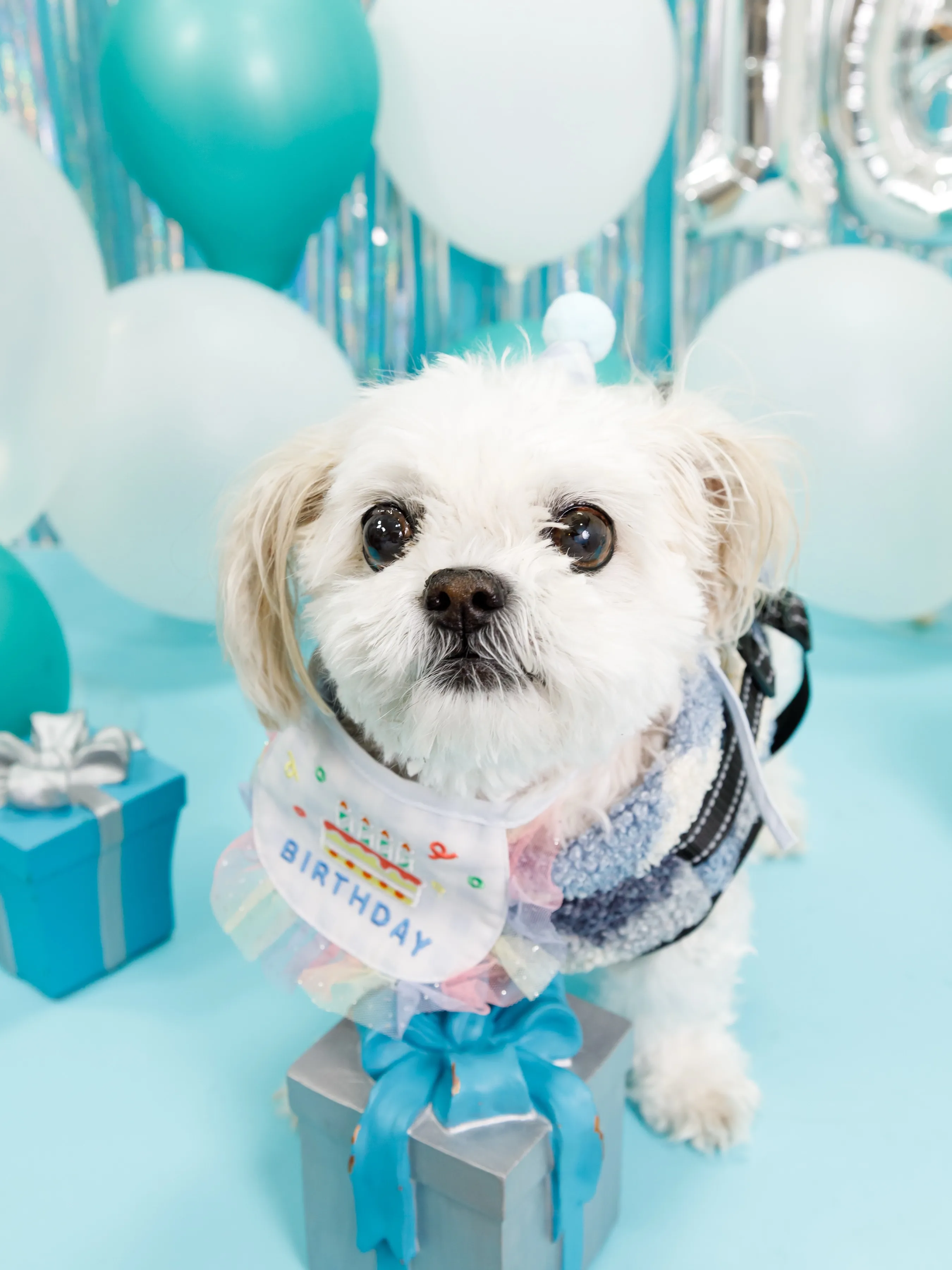 【Birthday Photobofth🗽-水色-】