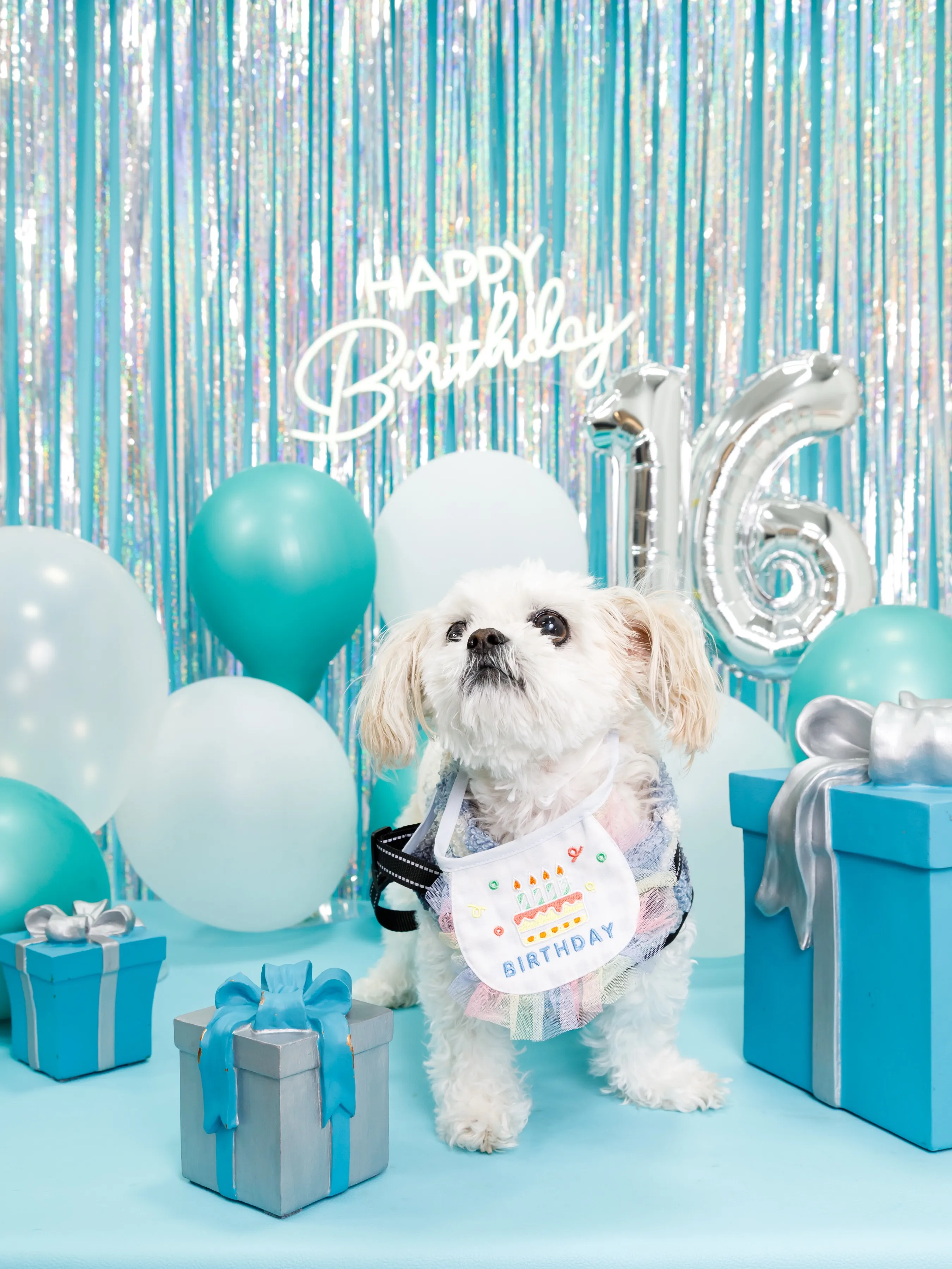 【Birthday Photobofth🗽-水色-】