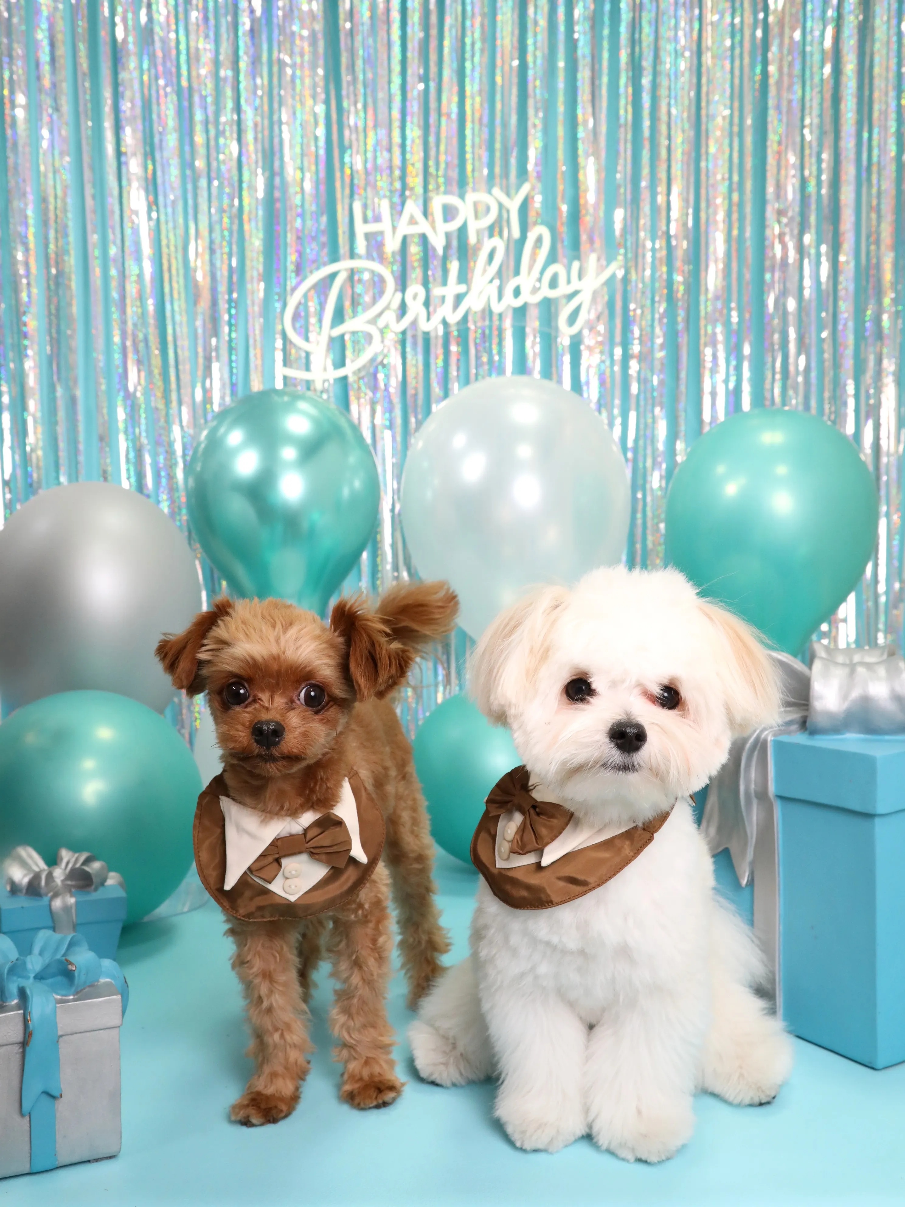 【Birthday Photobooth🗽-水色-】