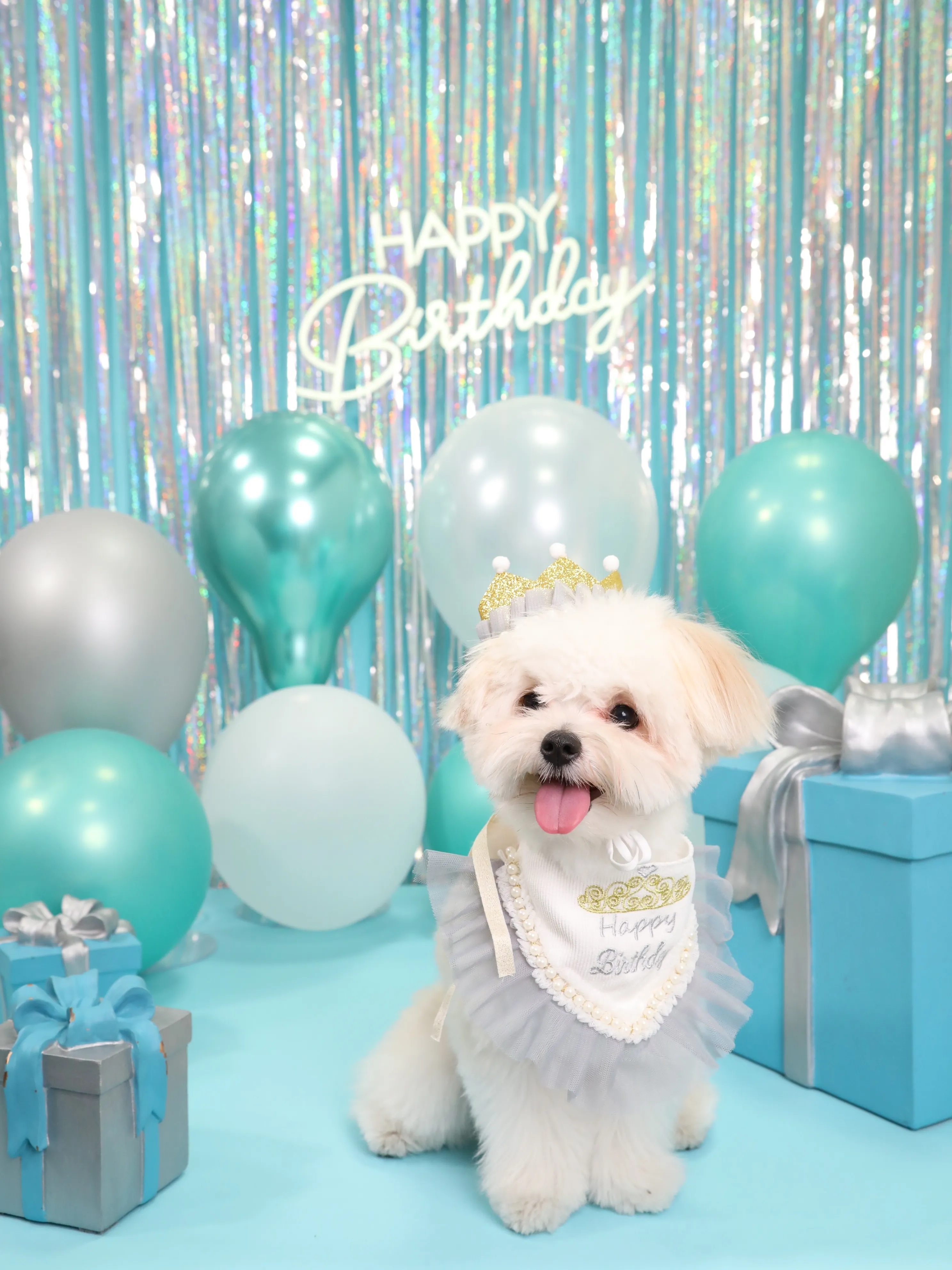 【Birthday Photobooth🗽-水色-】