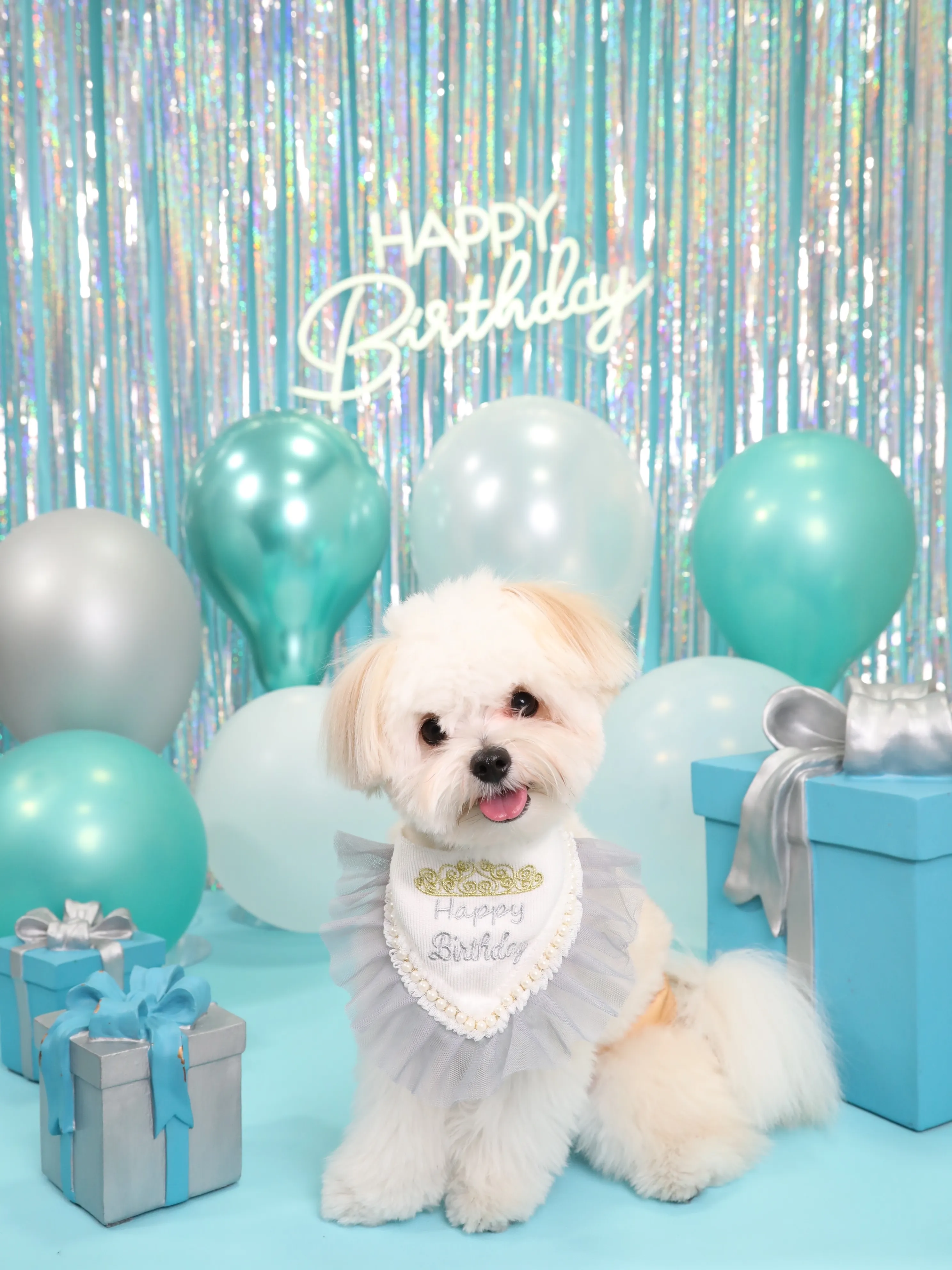 【Birthday Photobooth🗽-水色-】
