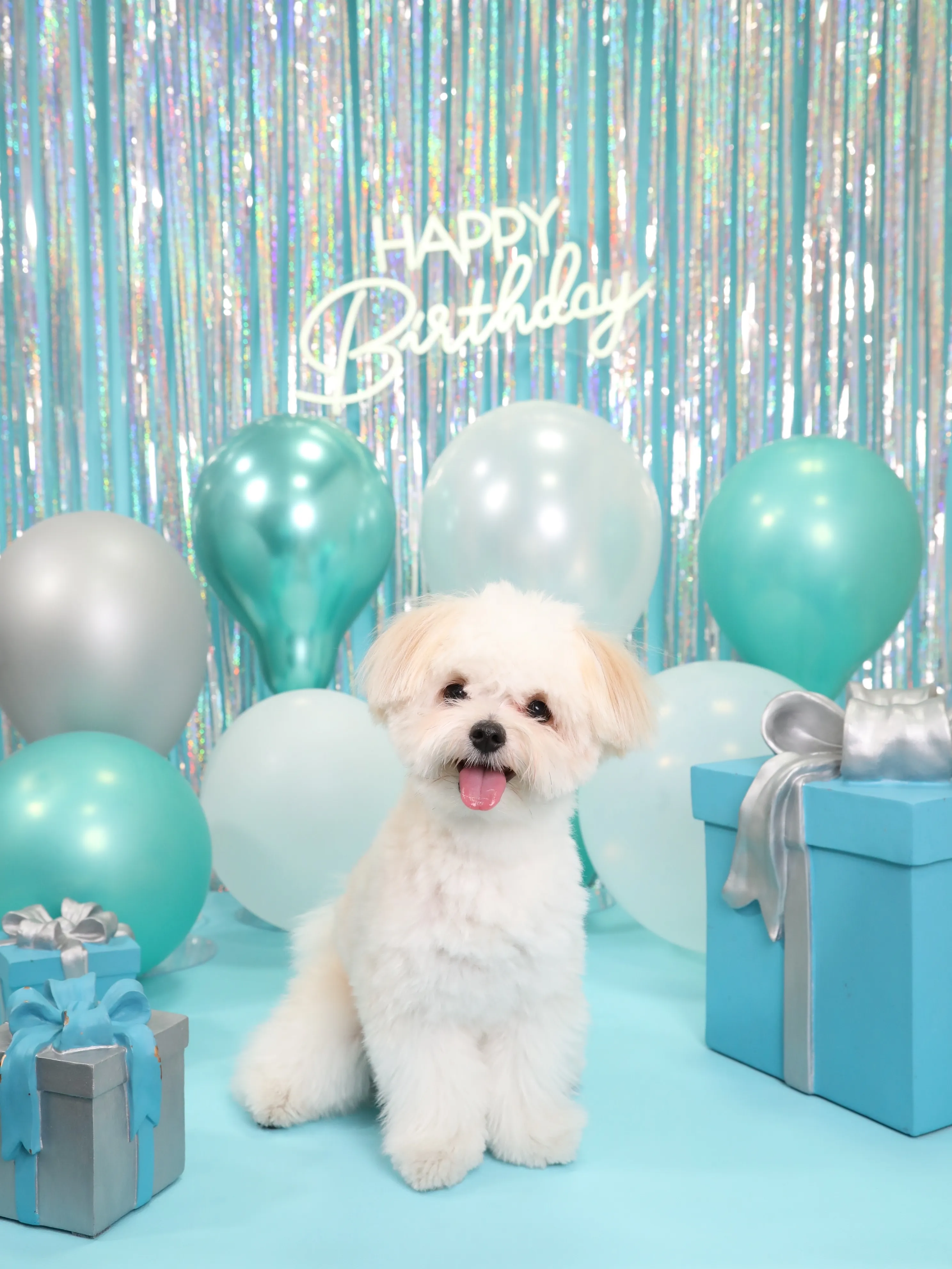 【Birthday Photobooth🗽-水色-】
