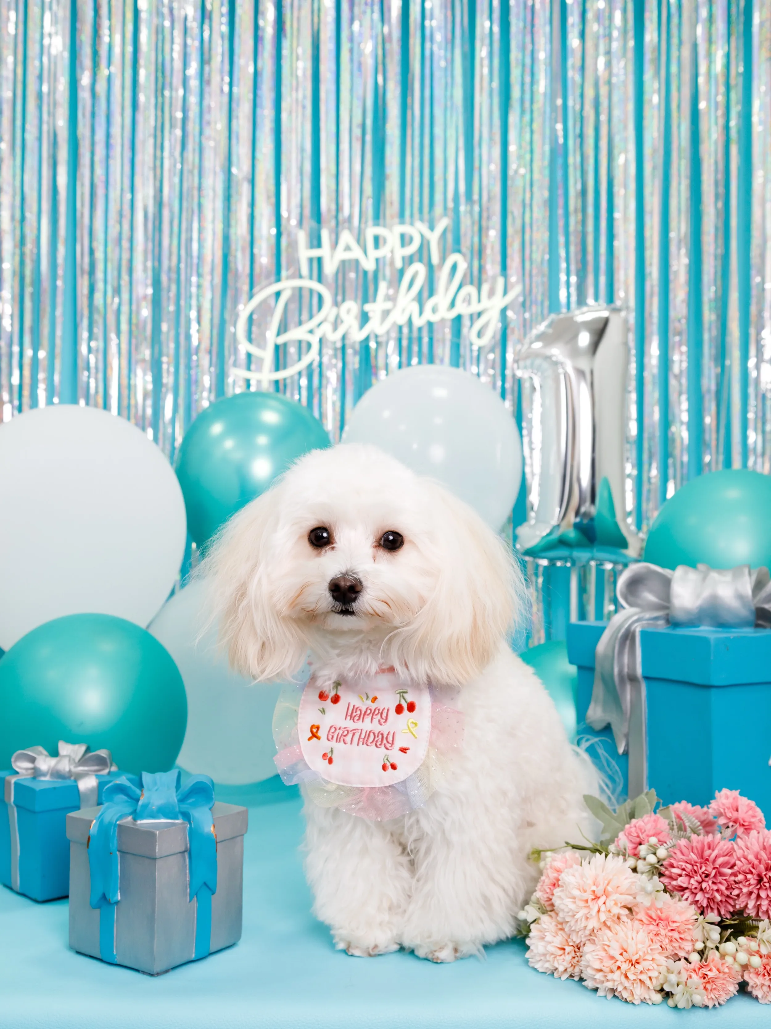 【Birthday Photobooth🗽-水色-】