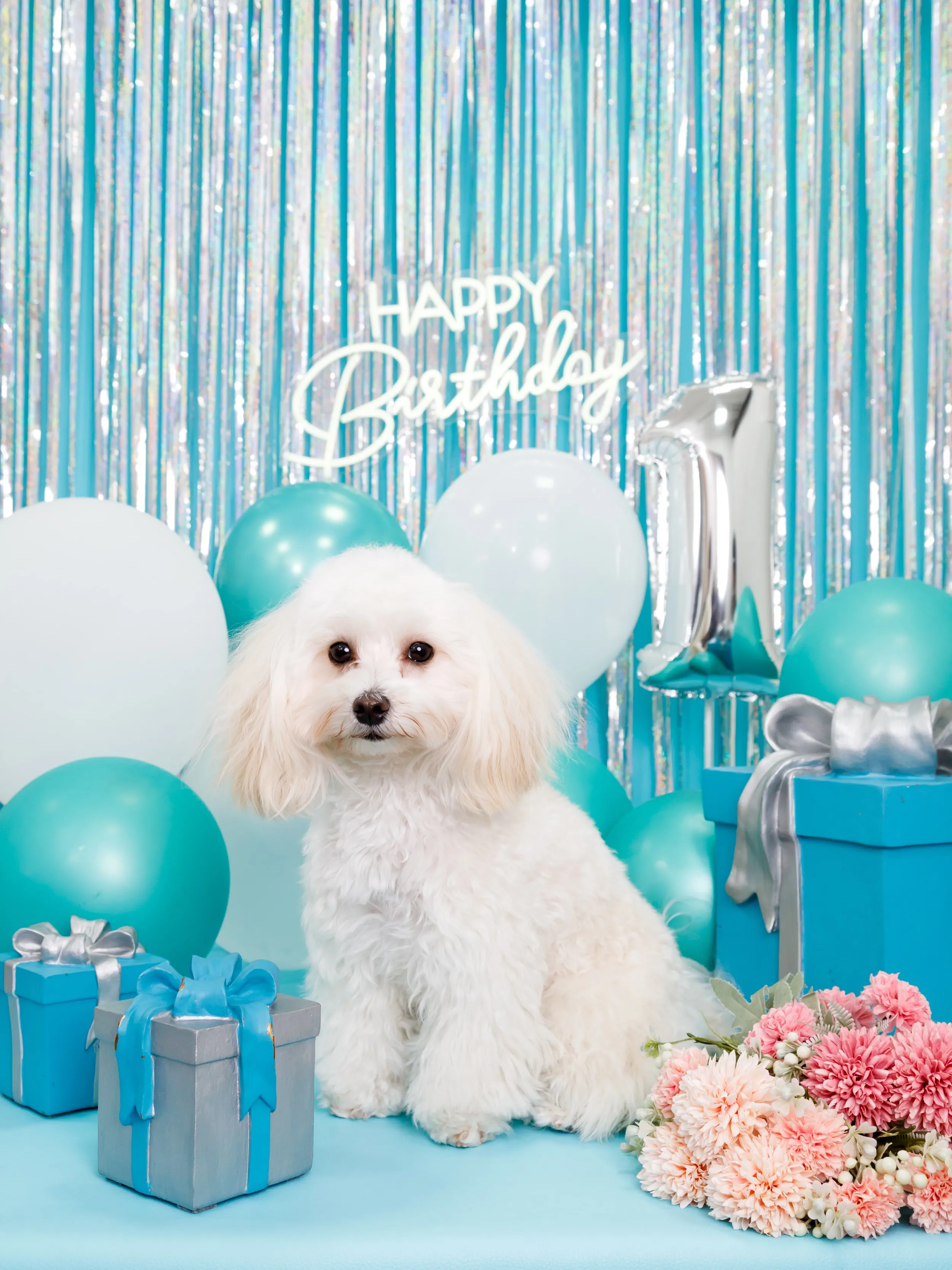 【Birthday Photobooth🗽-水色-】
