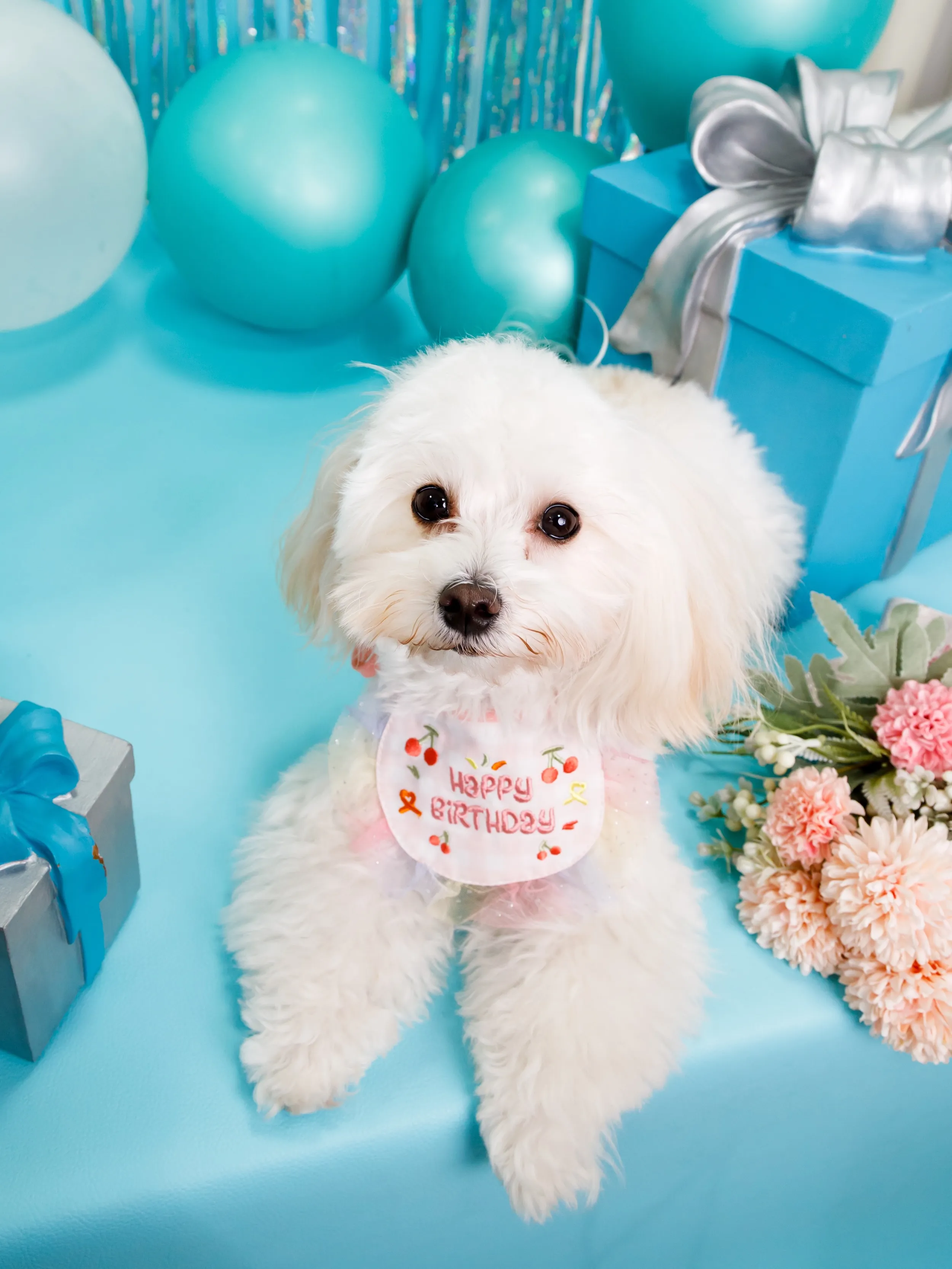 【Birthday Photobooth🗽-水色-】