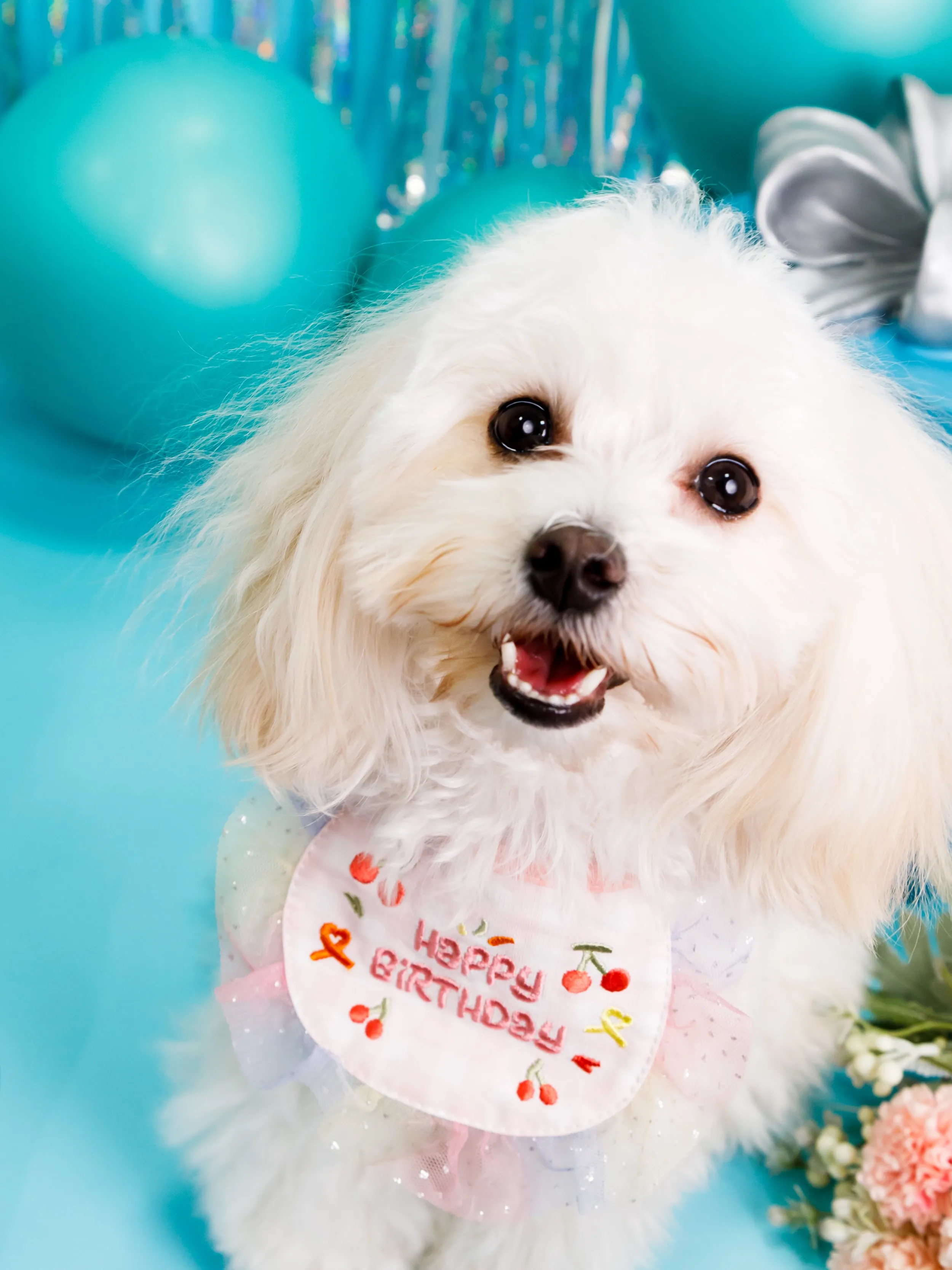 【Birthday Photobooth🗽-水色-】