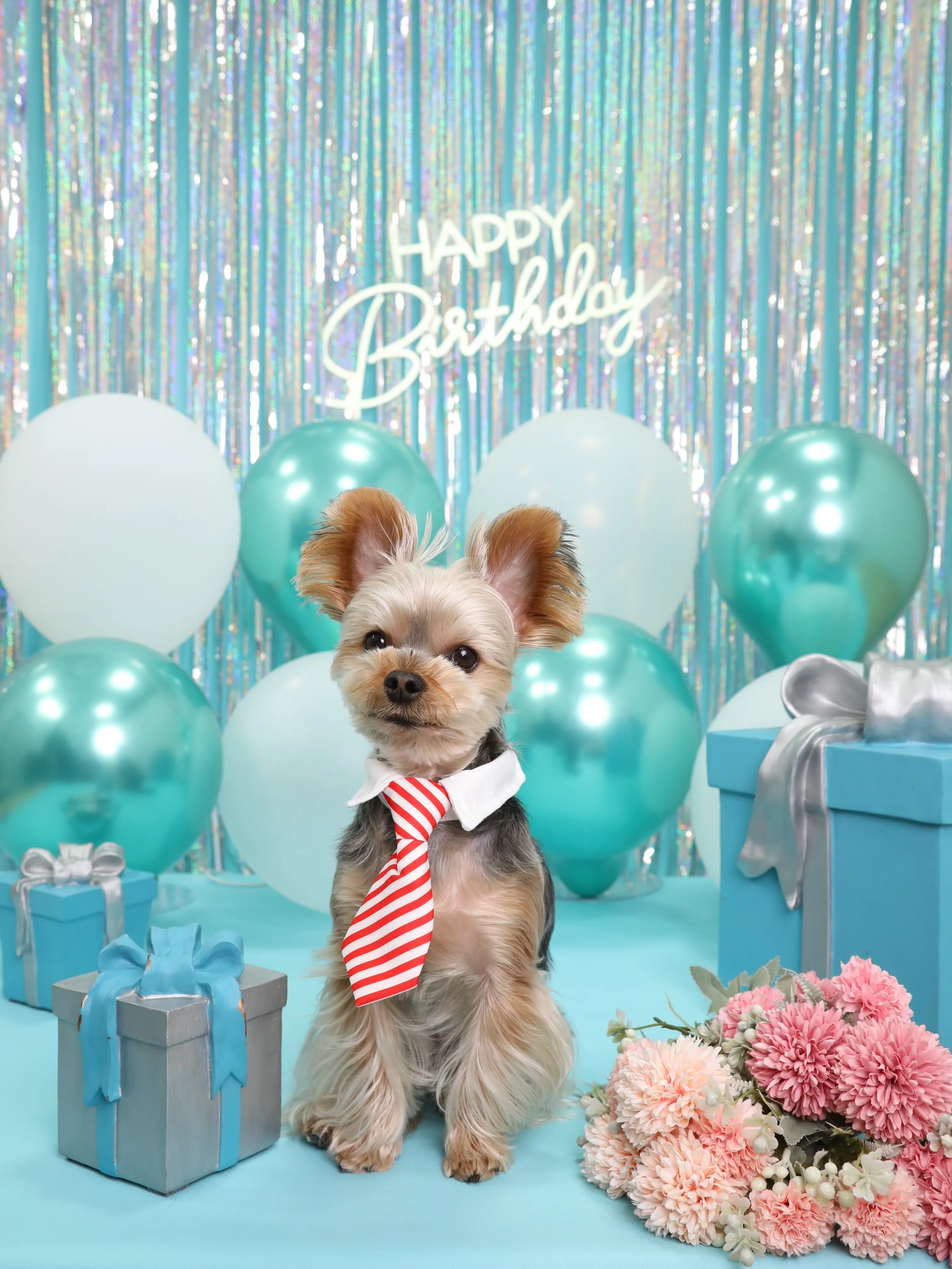 【Birthday Photobooth🗽-水色-】