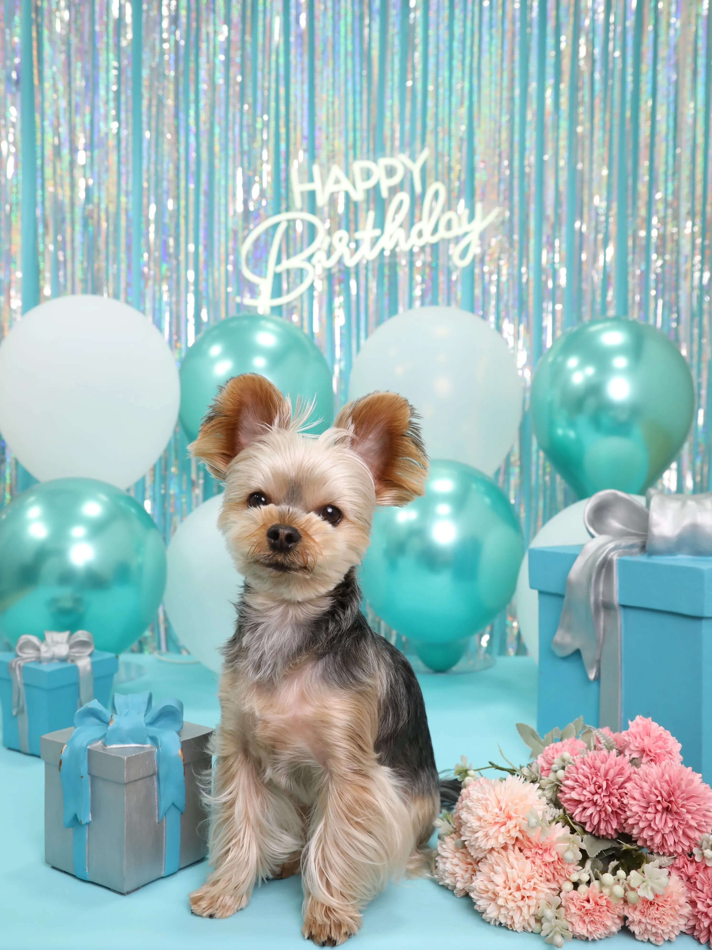 【Birthday Photobooth🗽-水色-】