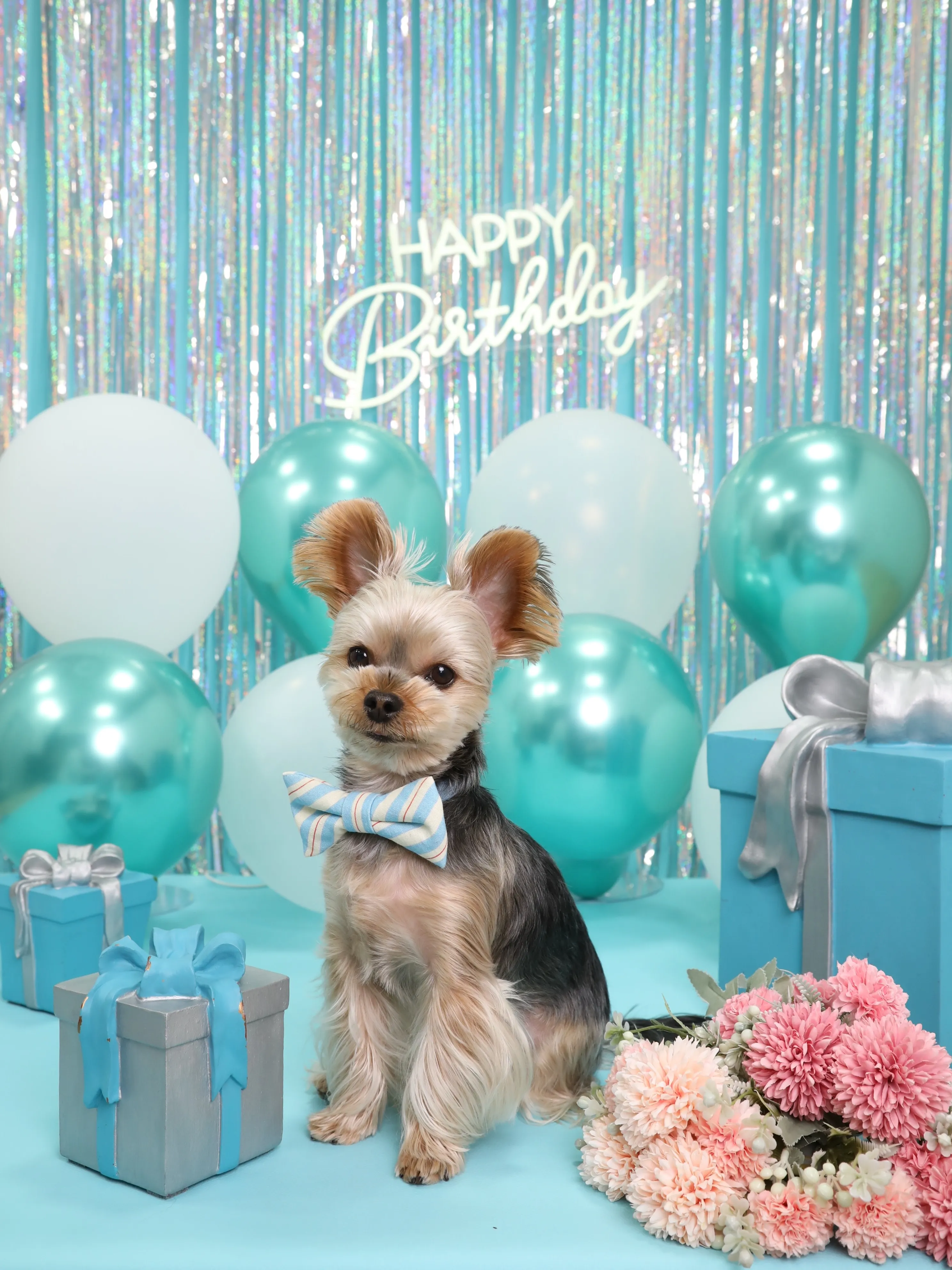 【Birthday Photobooth🗽-水色-】
