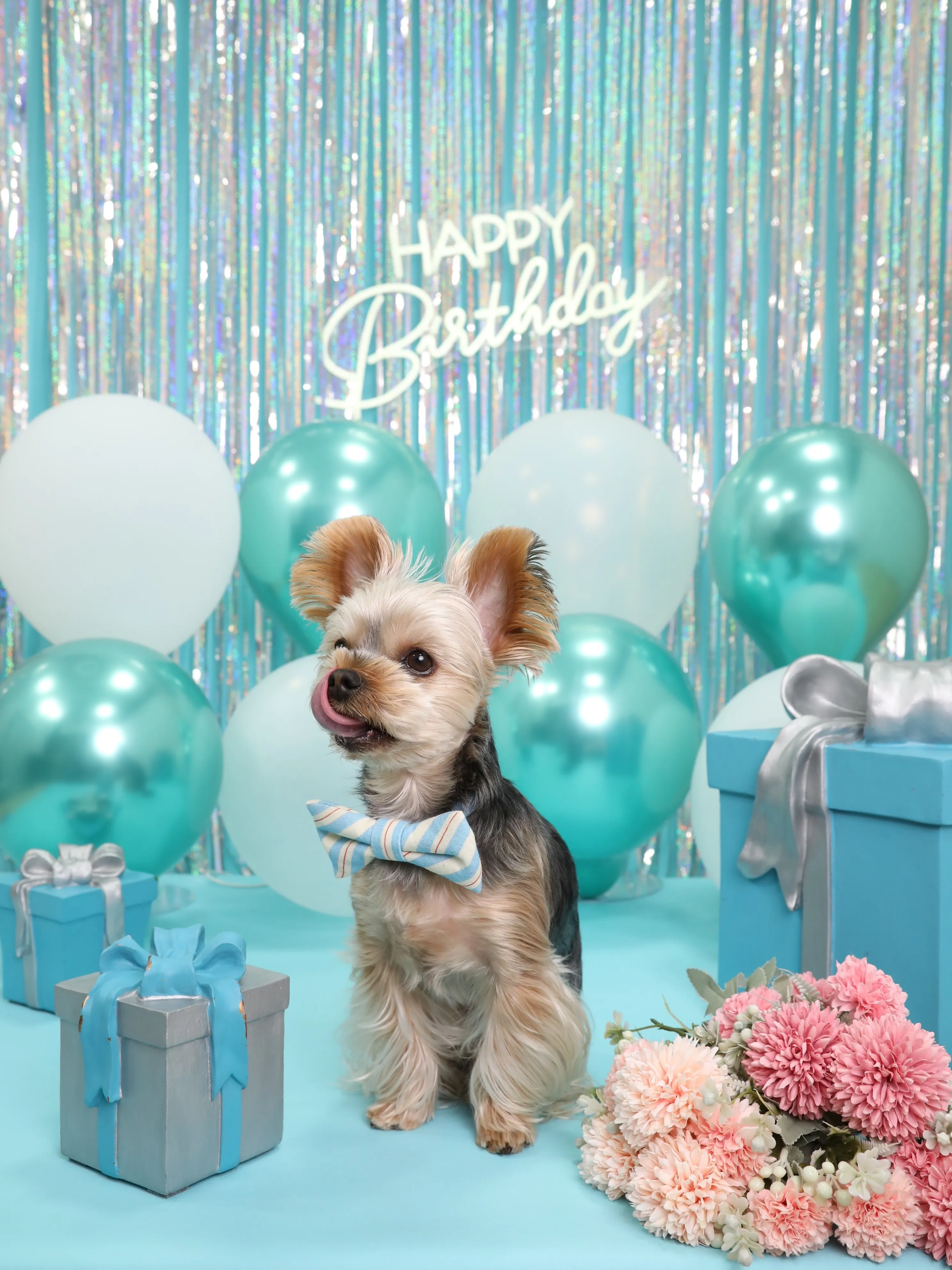 【Birthday Photobooth🗽-水色-】