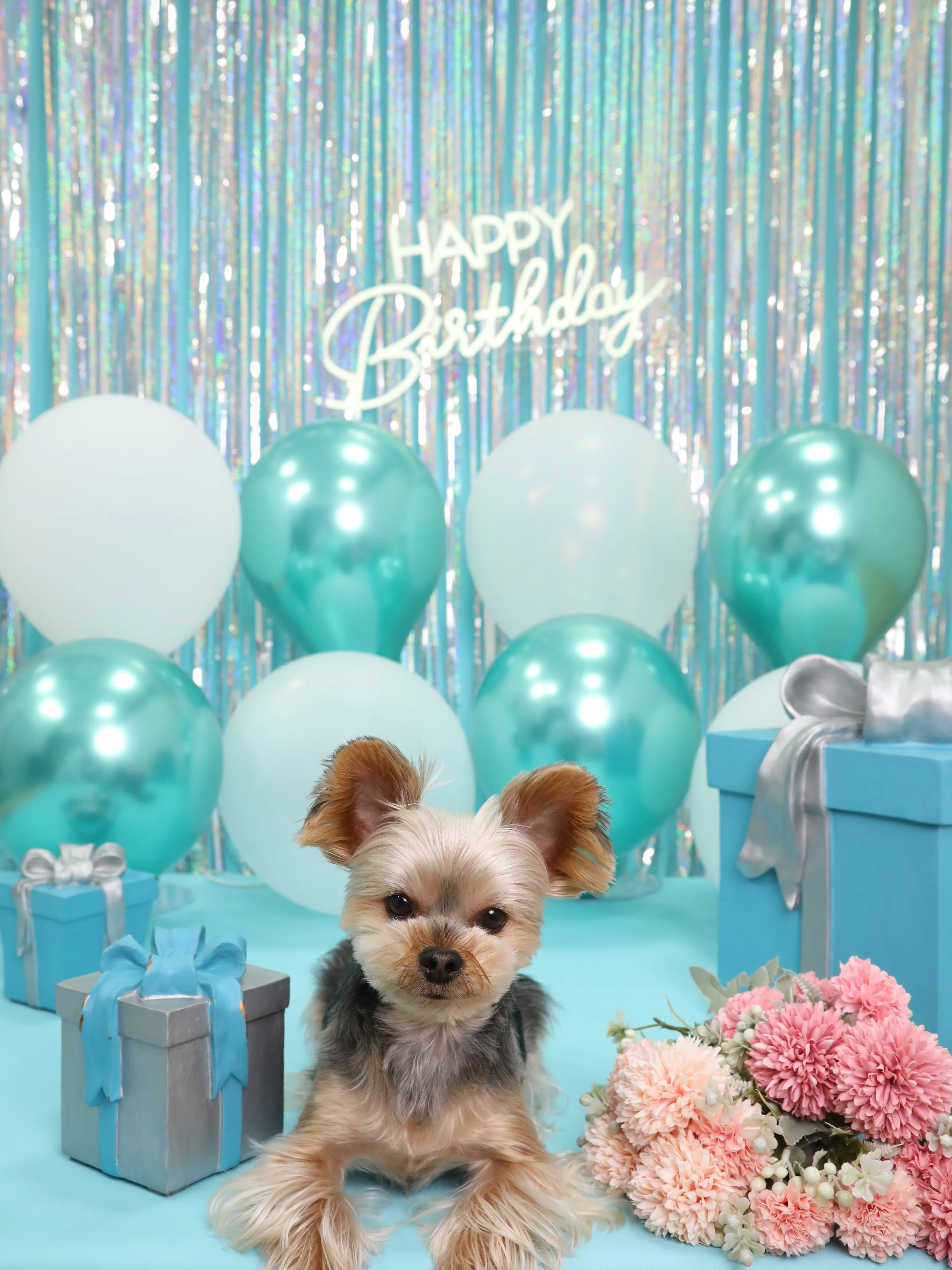 【Birthday Photobooth🗽-水色-】