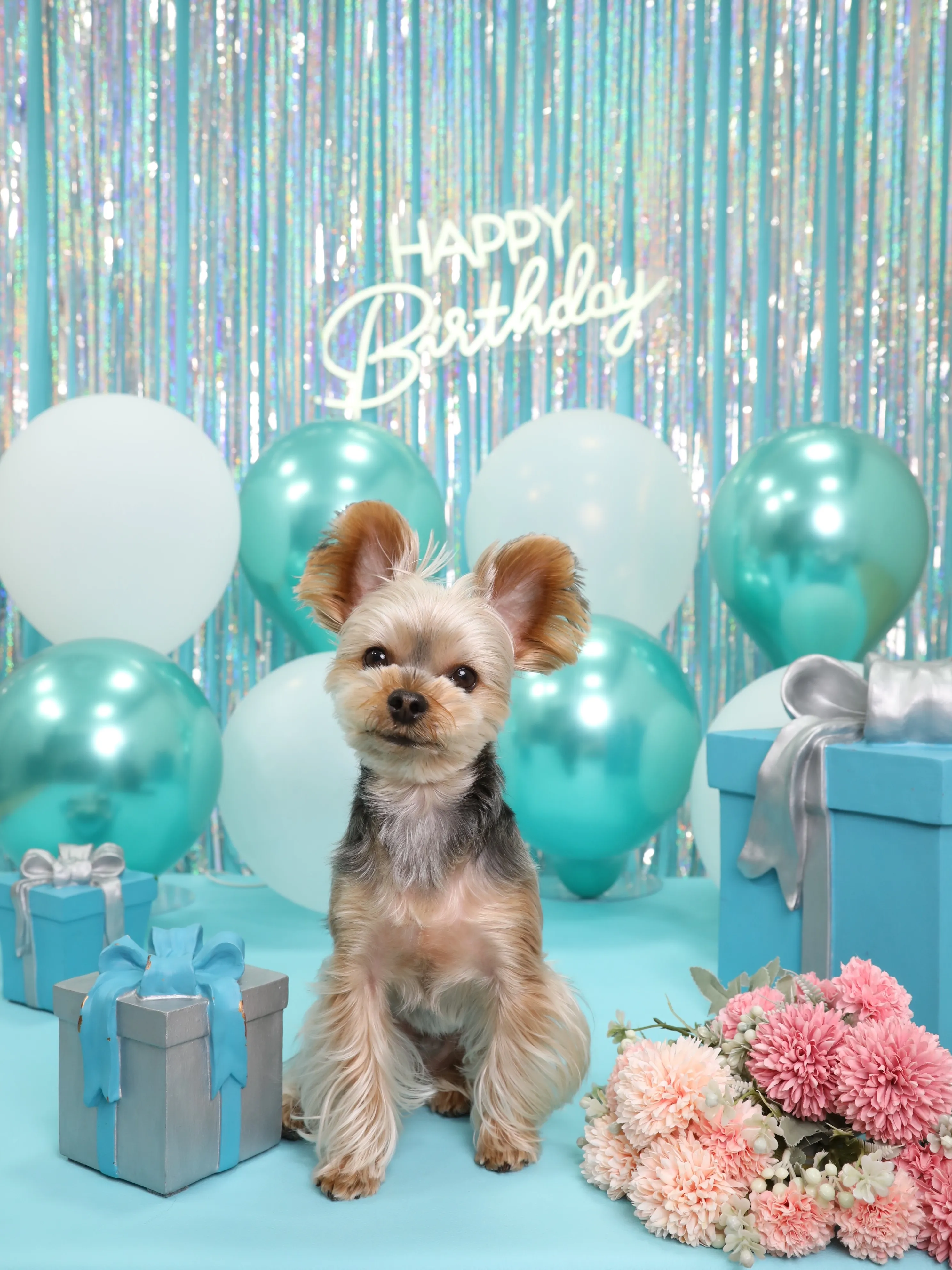 【Birthday Photobooth🗽-水色-】