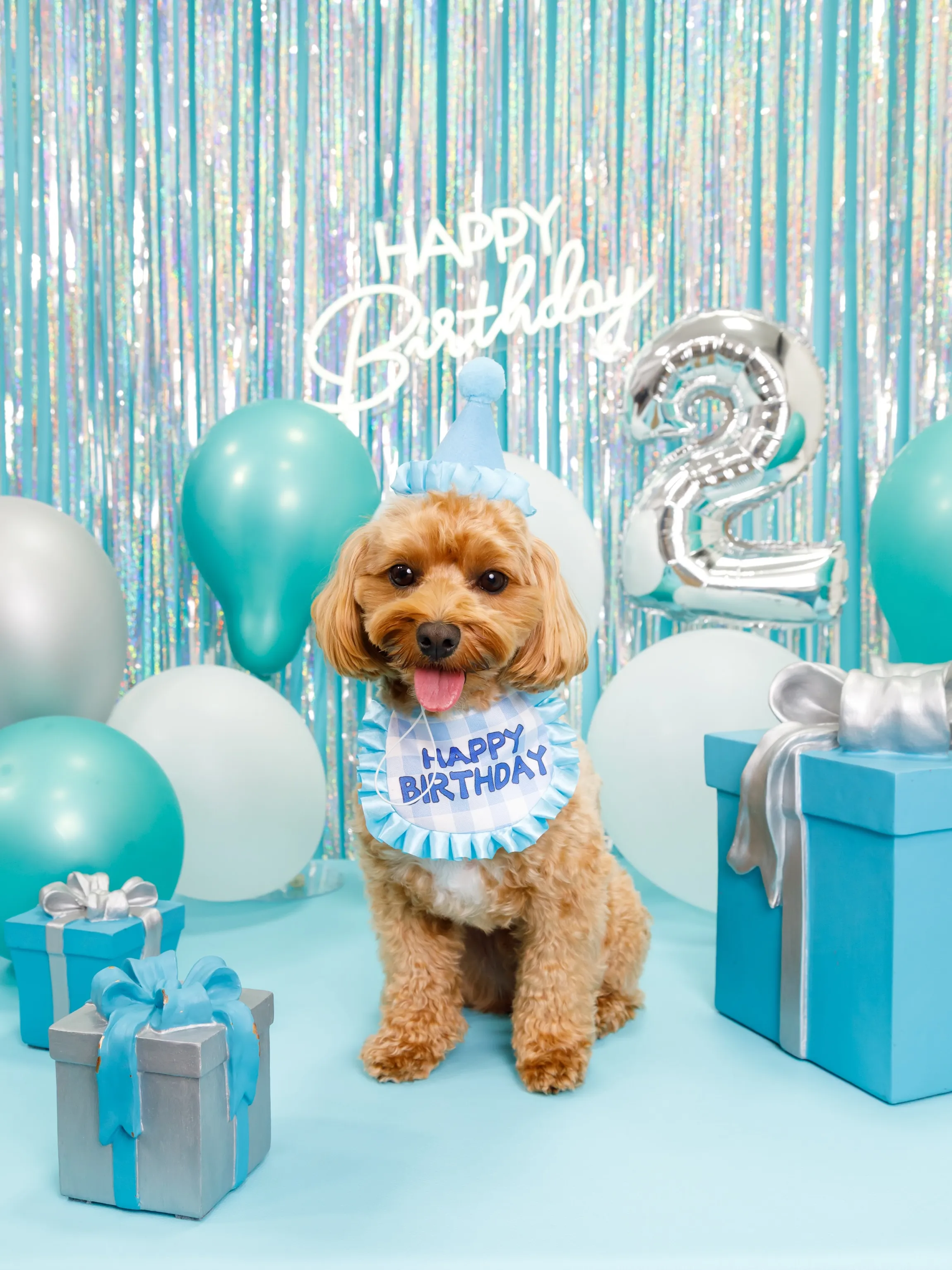【Birthday Photobooth🗽-水色-】