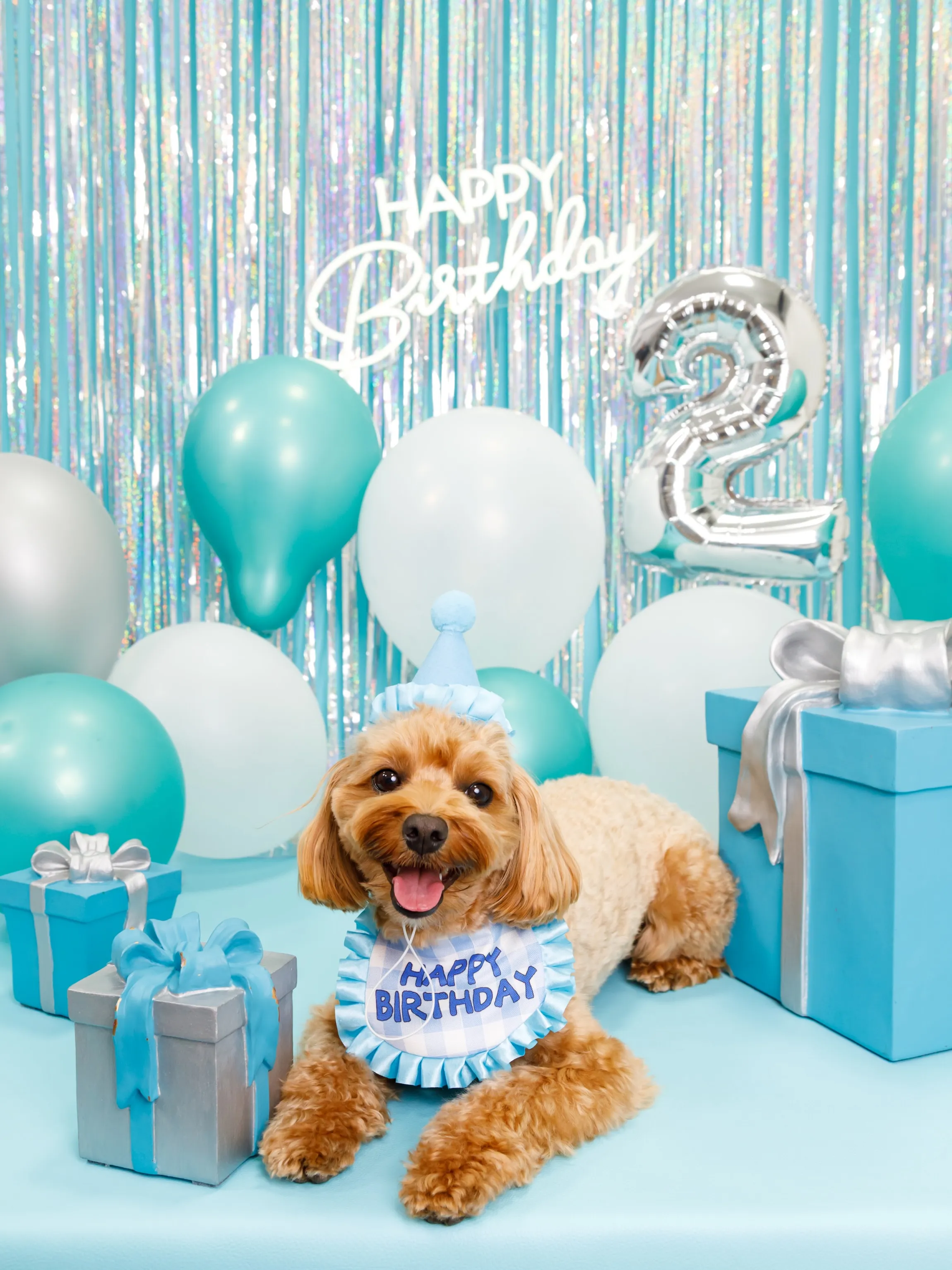 【Birthday Photobooth🗽-水色-】