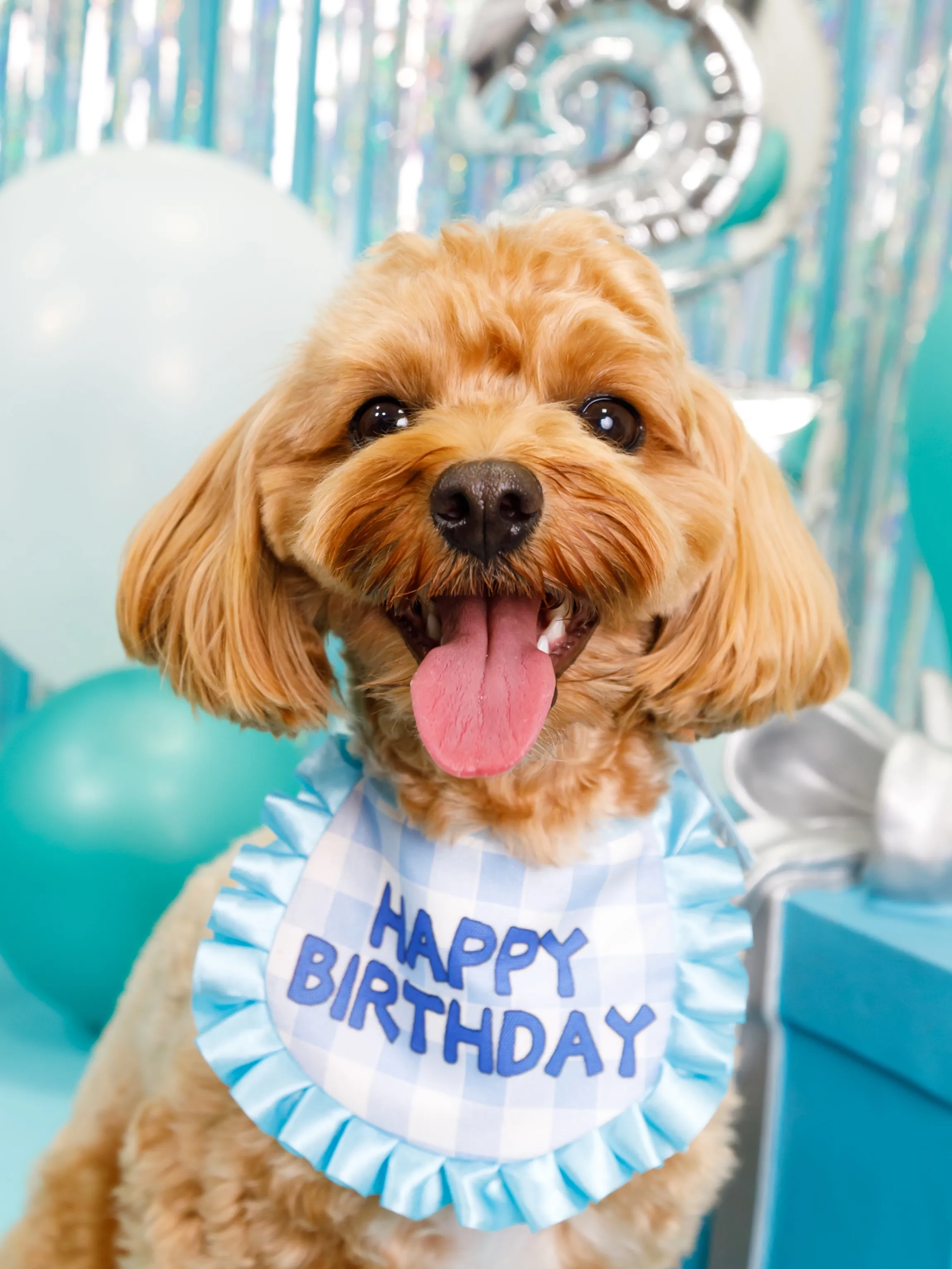 【Birthday Photobooth🗽-水色-】
