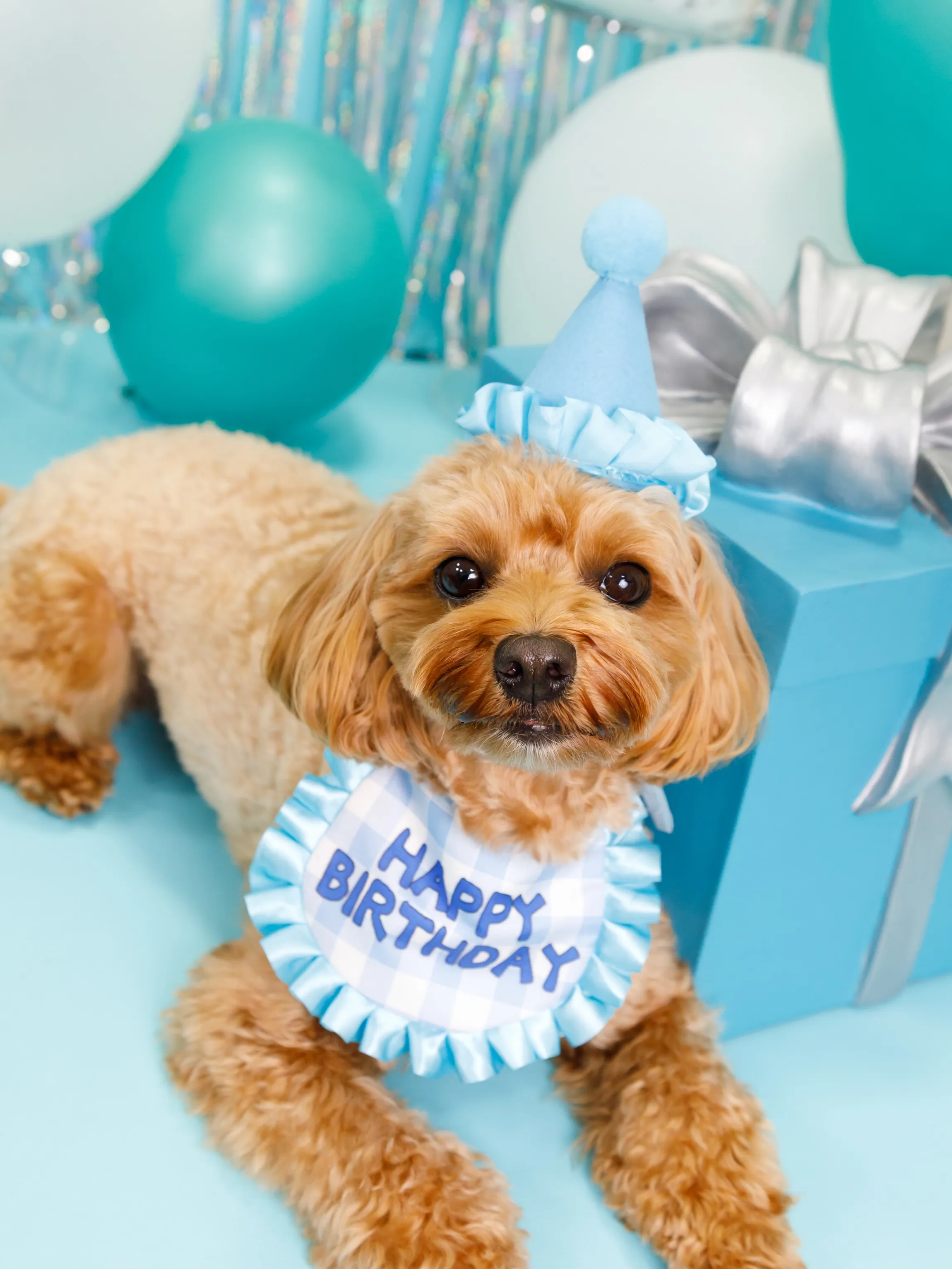 【Birthday Photobooth🗽-水色-】