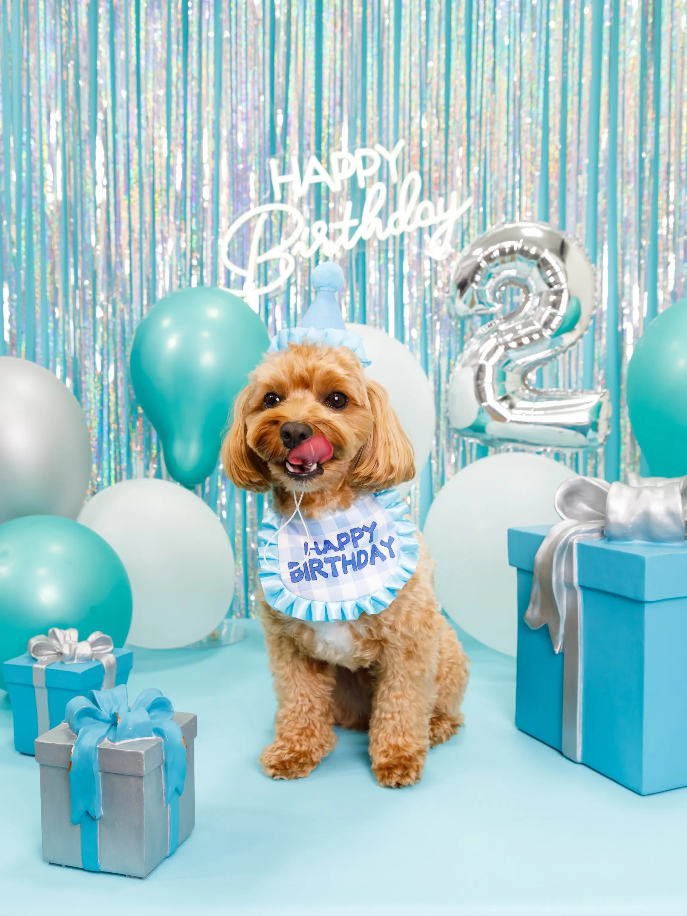 【Birthday Photobooth🗽-水色-】
