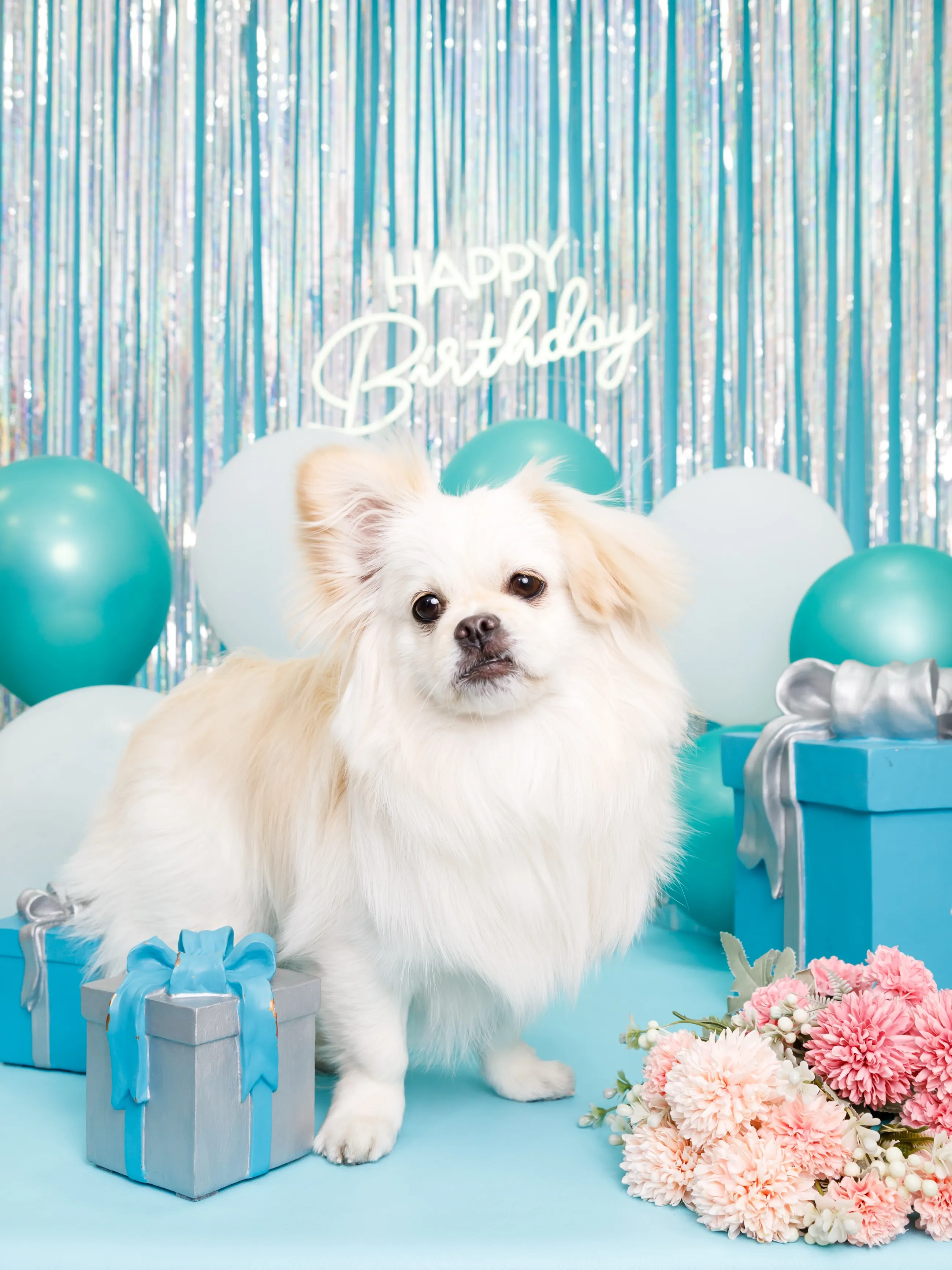 【Birthday Photobooth🗽-水色-】