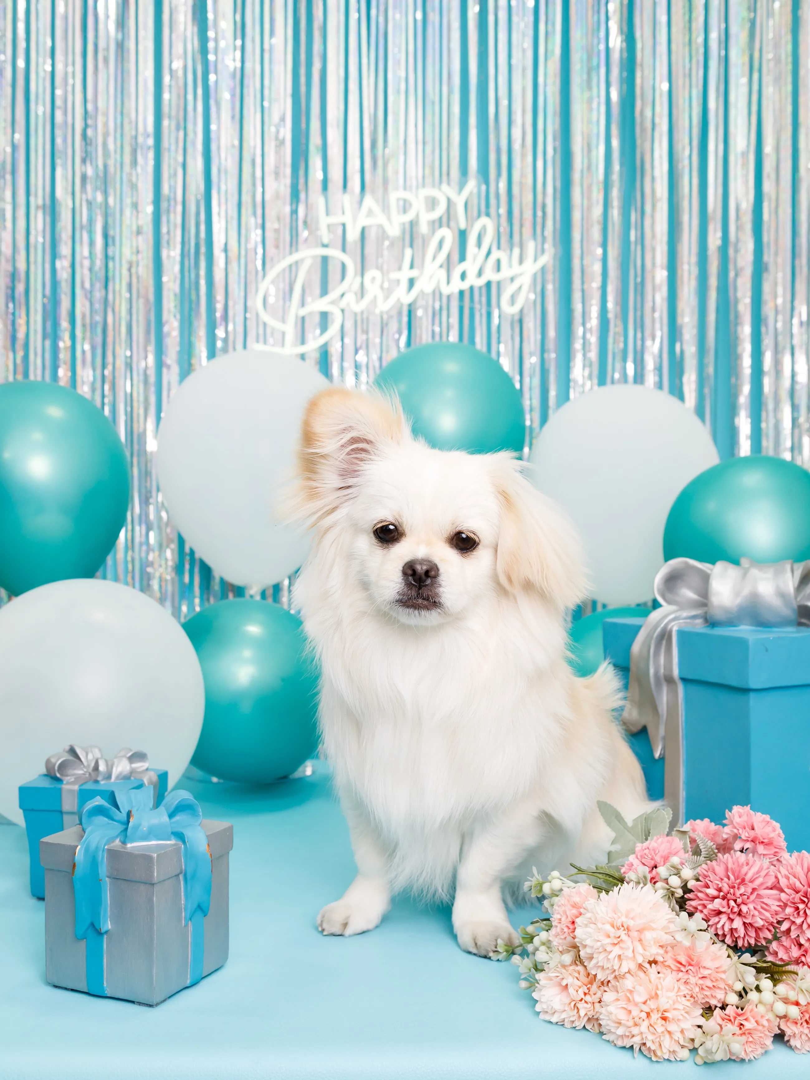【Birthday Photobooth🗽-水色-】