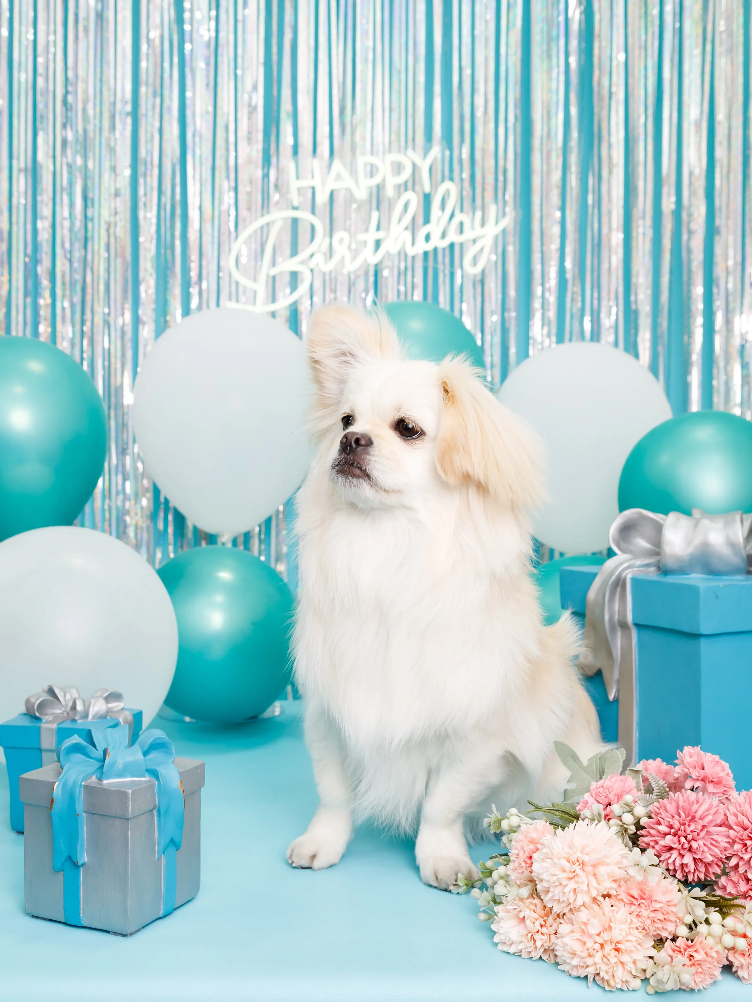【Birthday Photobooth🗽-水色-】